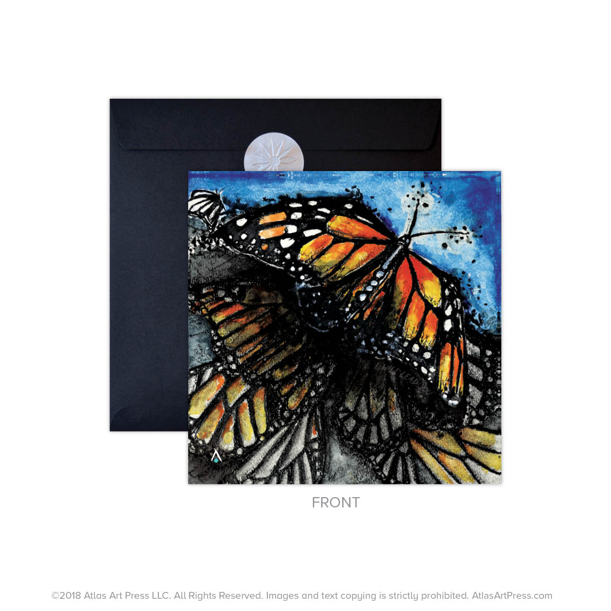 AAP-Butterfly.jpg