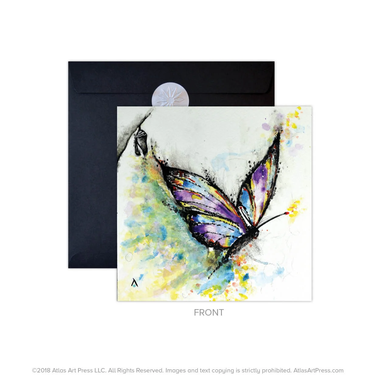 AAP-Butterfly17.jpg