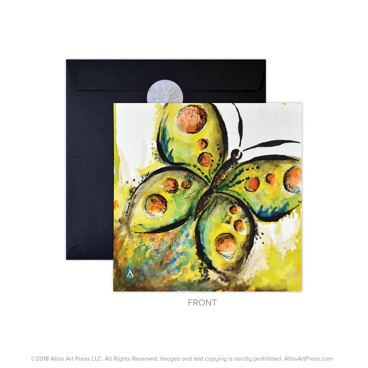 AAP-Butterfly21.jpg