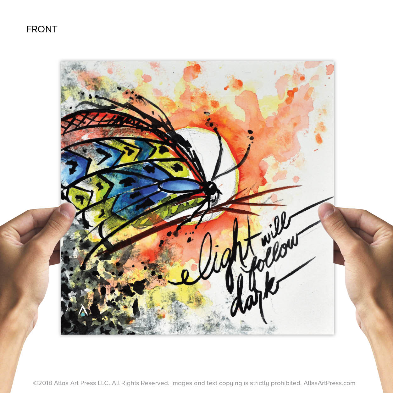 AAP-Butterfly11.jpg