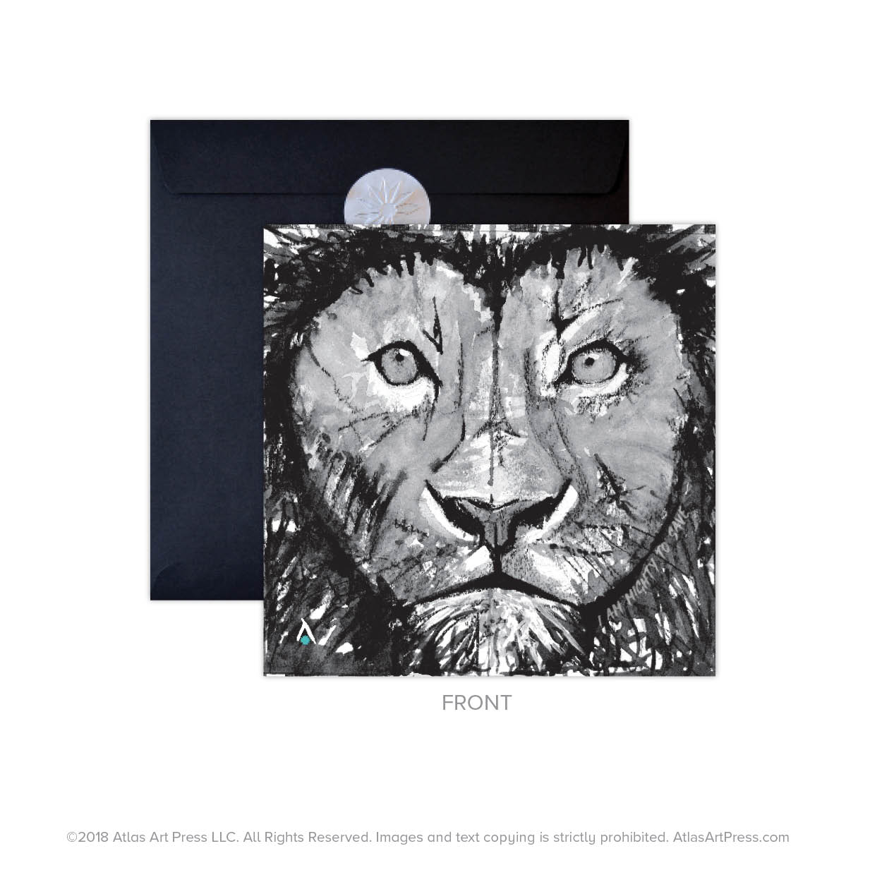 AAP-LIONS7.jpg
