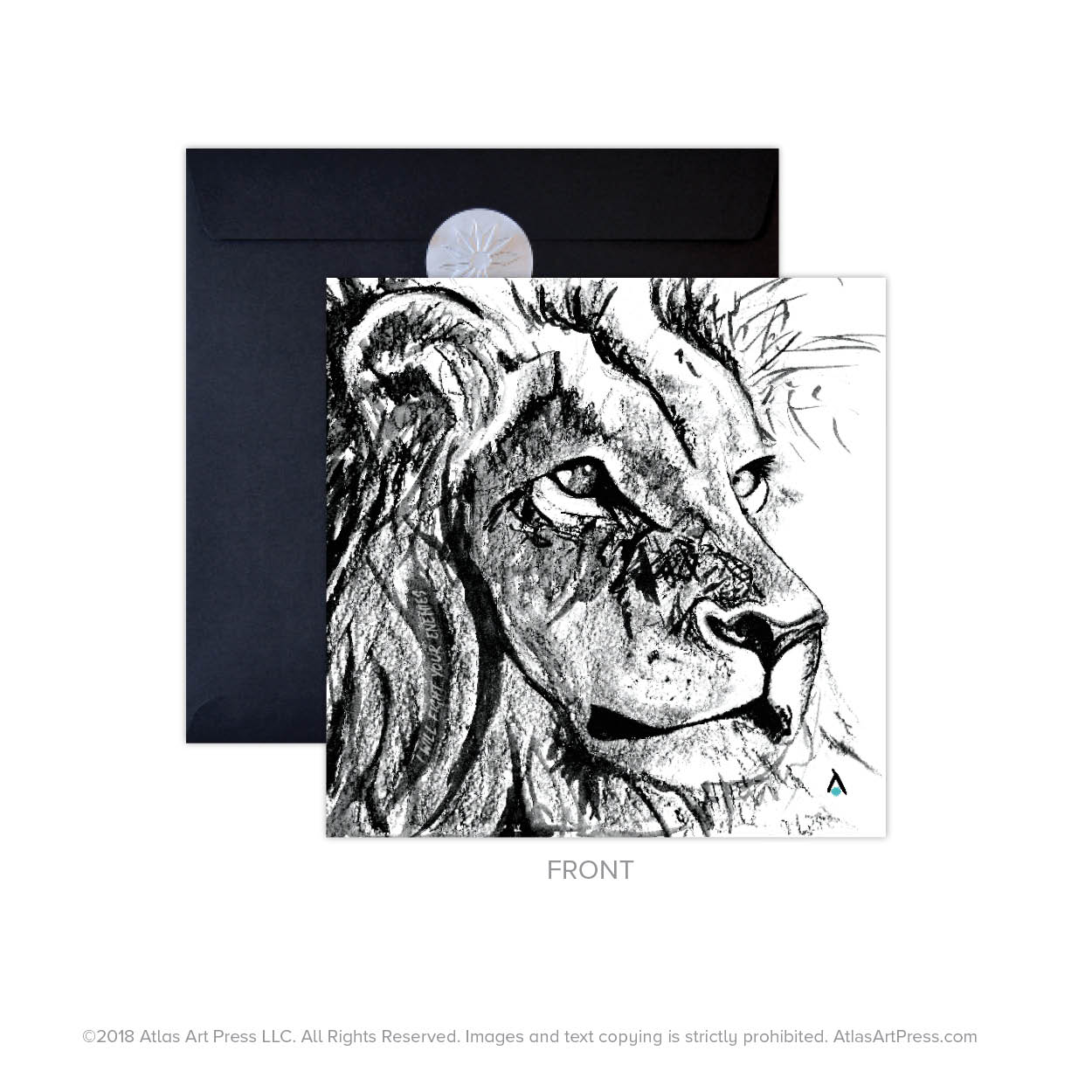 AAP-LIONS5.jpg