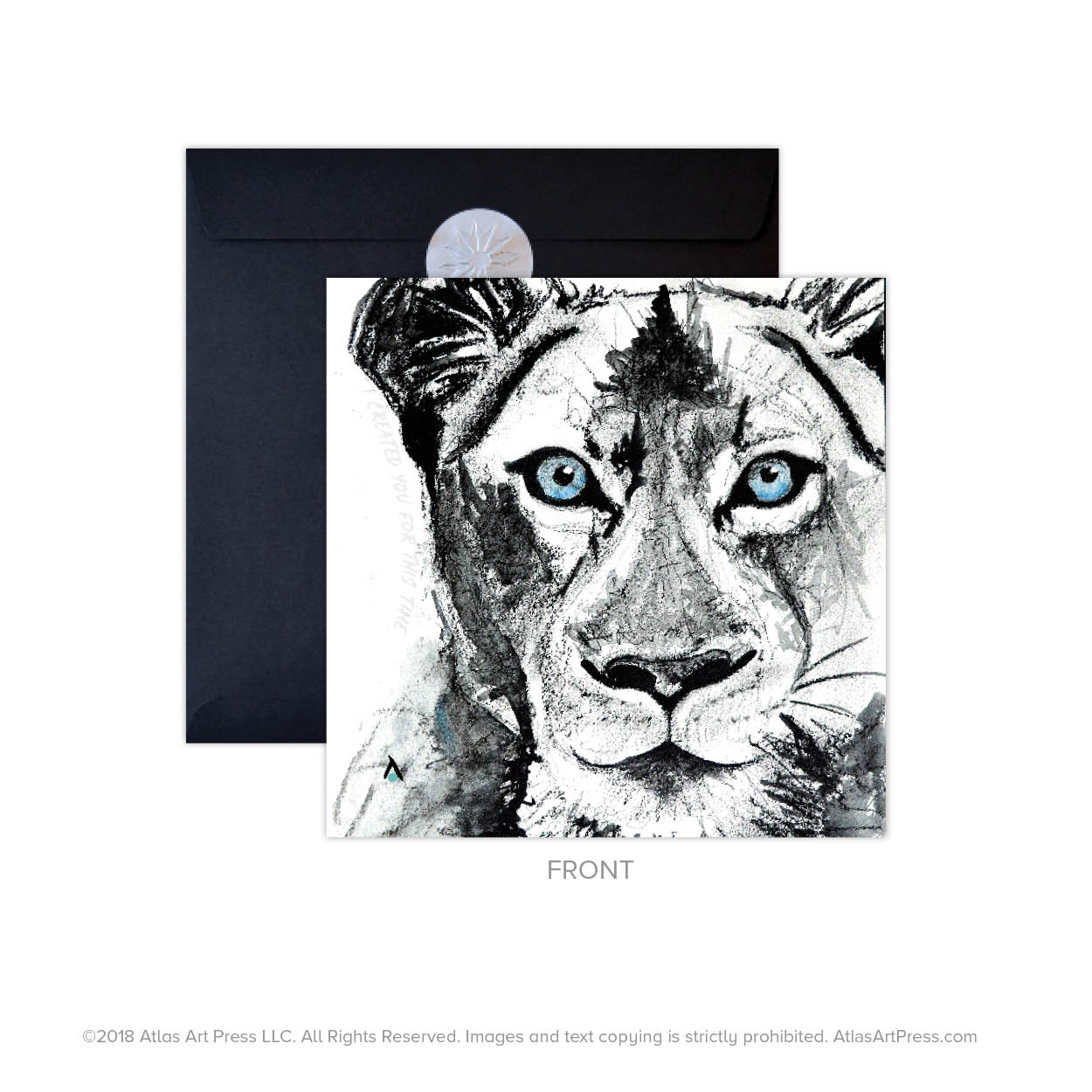AAP-LIONS3.jpg
