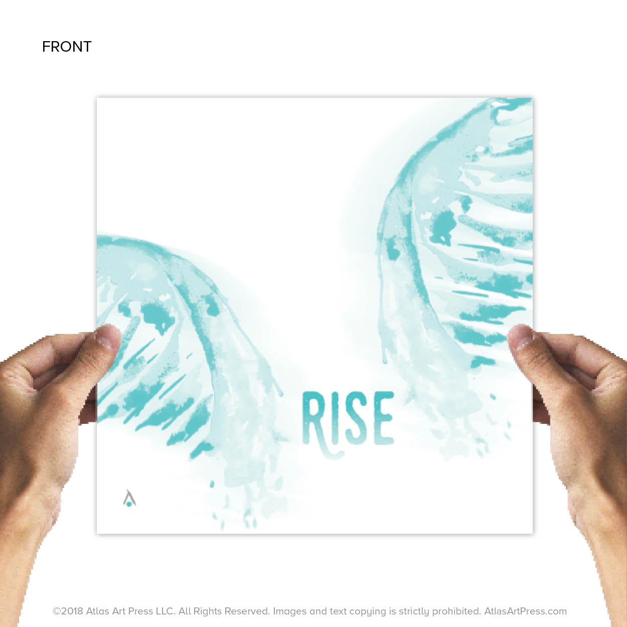 AAP-Wings5.jpg