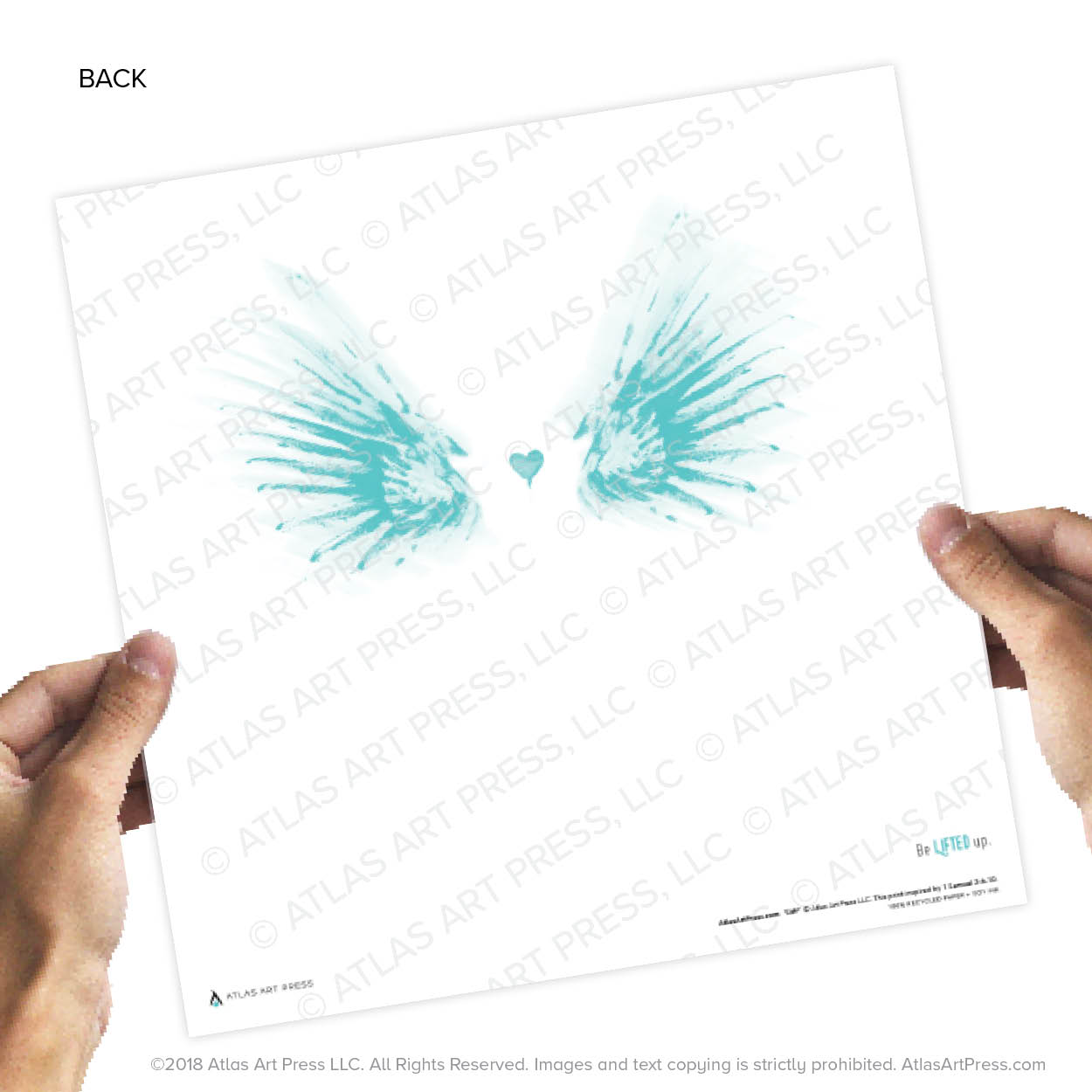 AAP-Wings12.jpg