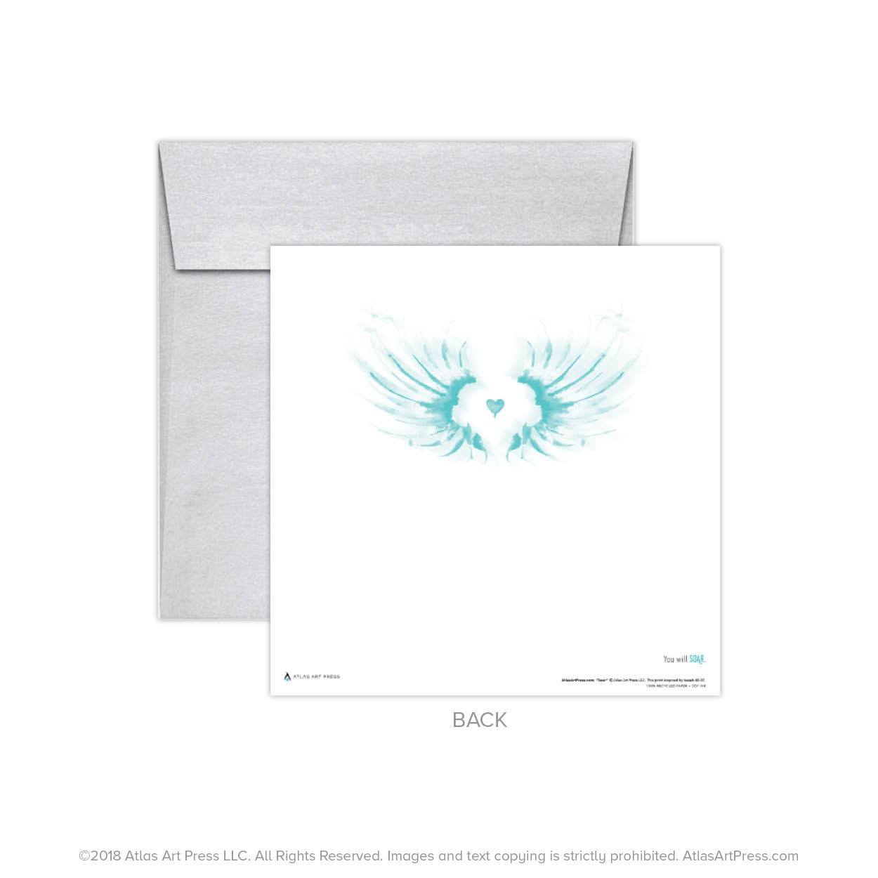 AAP-Wings16.jpg