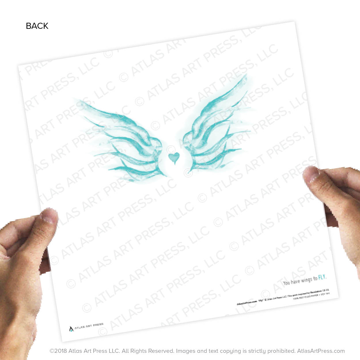 AAP-Wings24.jpg