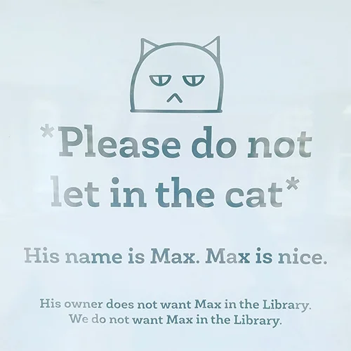 Max.jpg