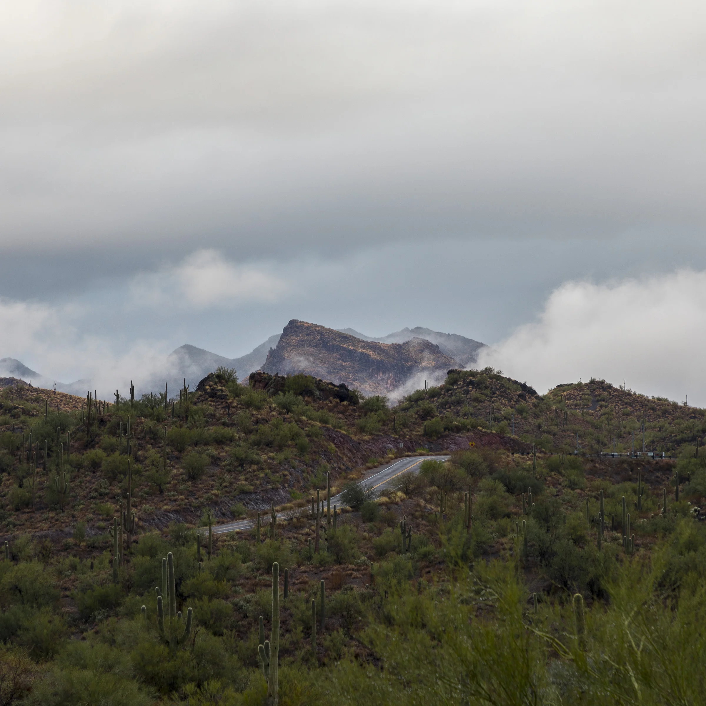 Lake Pleasant Shoot_0925.JPG