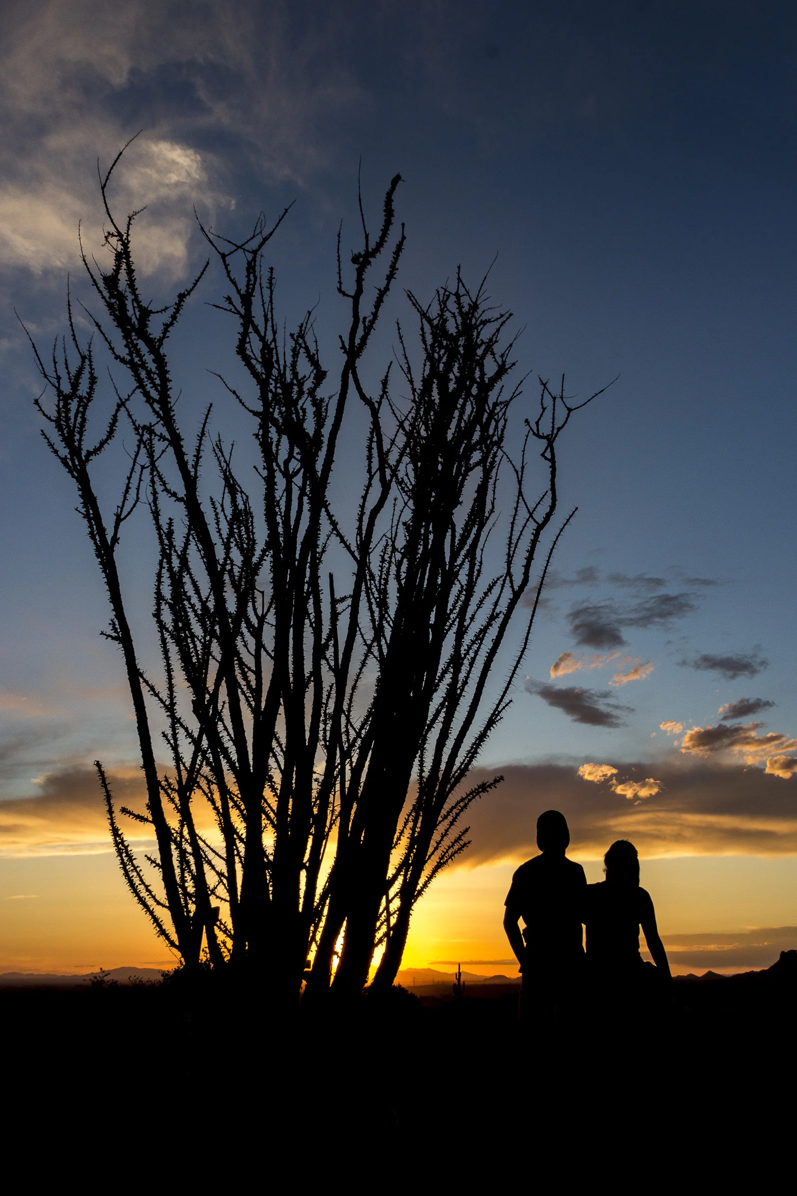 Lost Dutchman Sunset_67.JPG