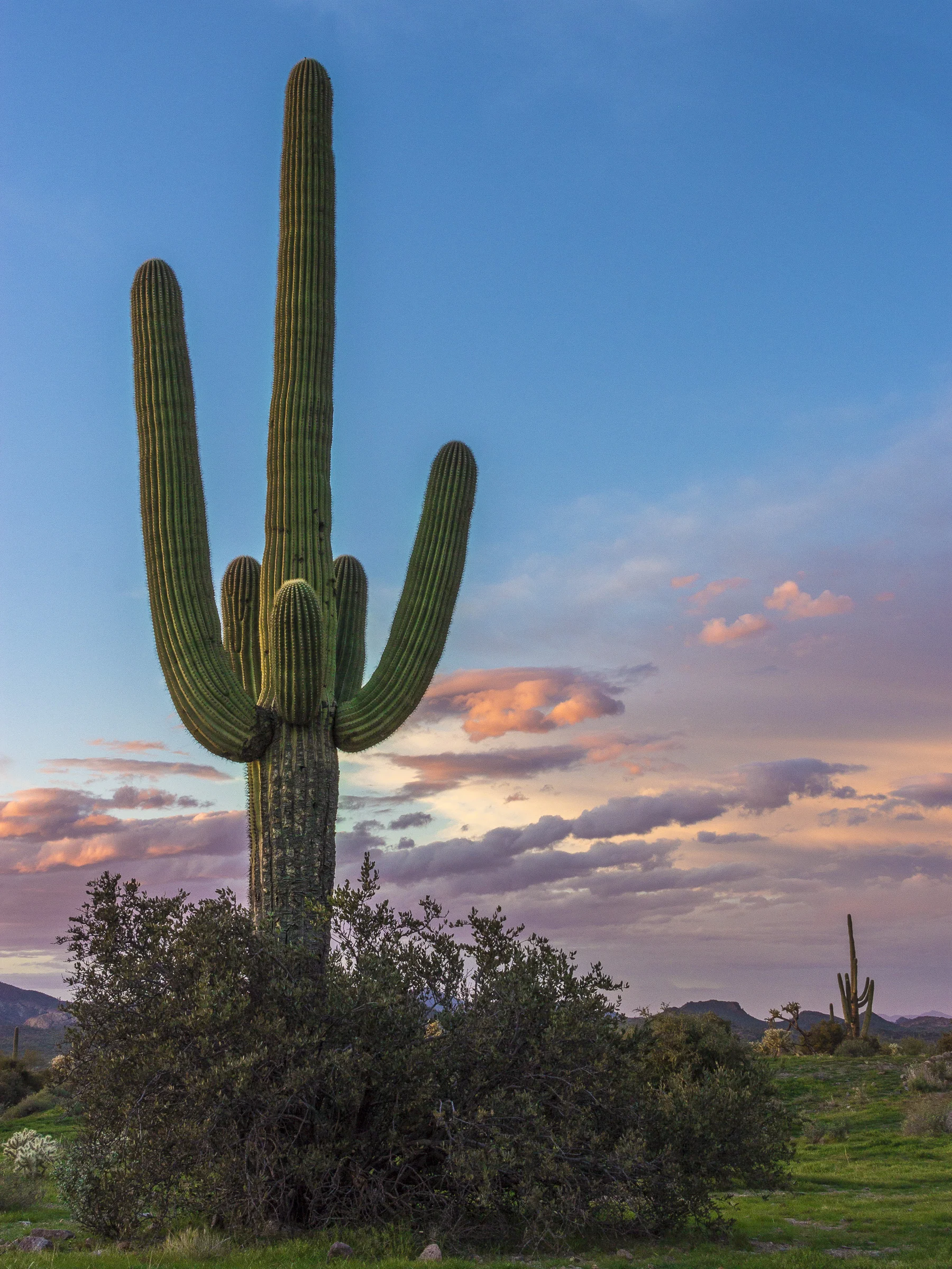 Lost Dutchman Sunset_70.JPG