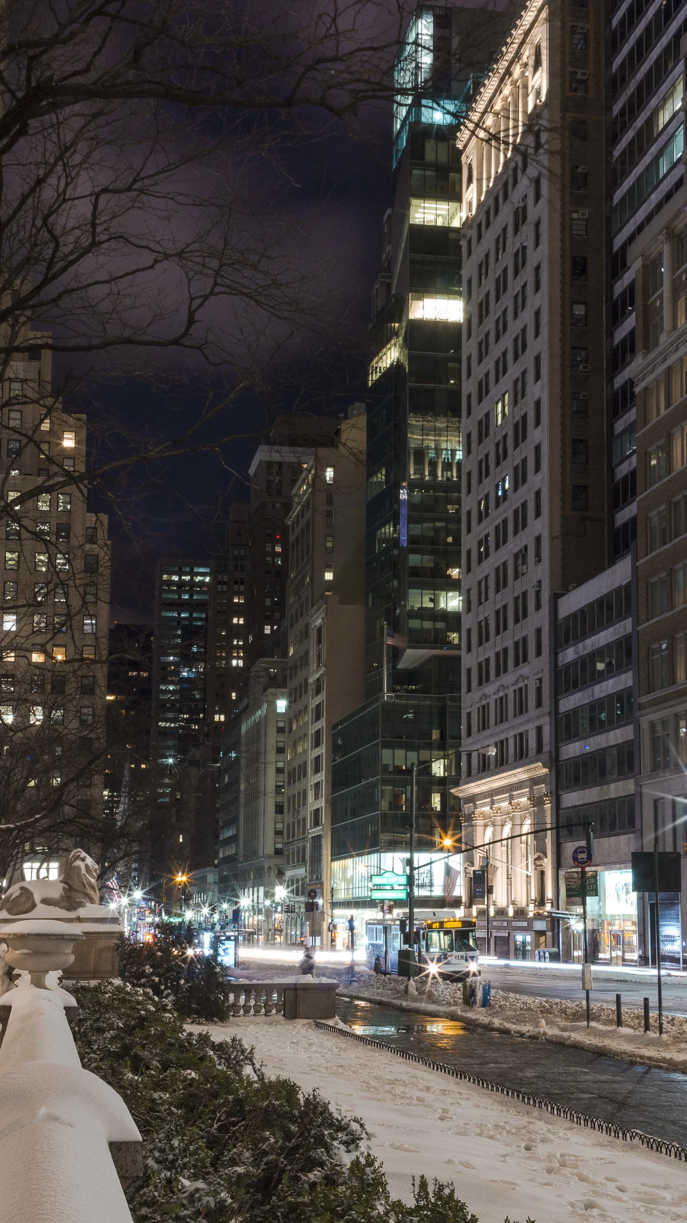 New York Snow_42.JPG