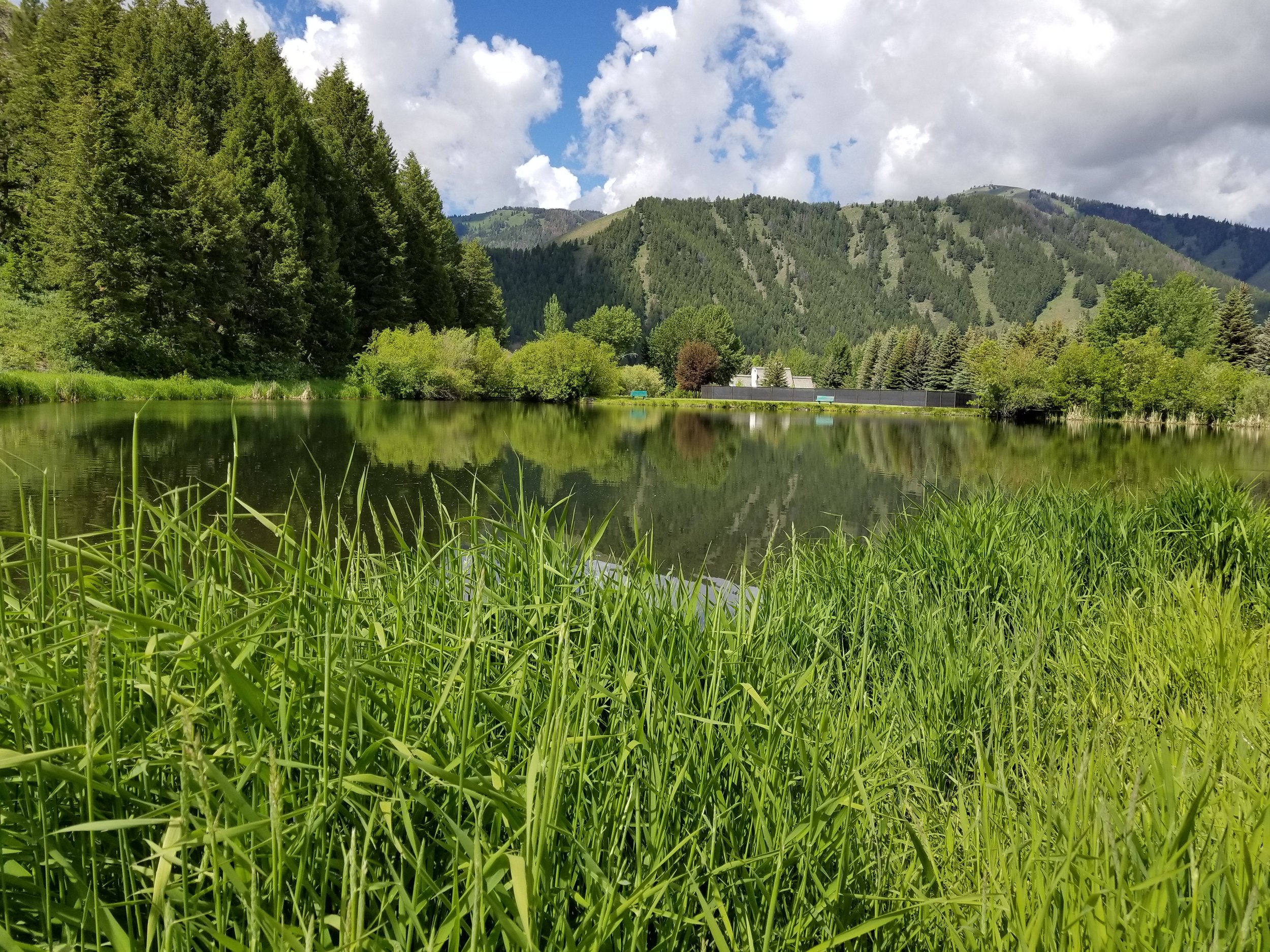 Idaho Lake 11.jpg