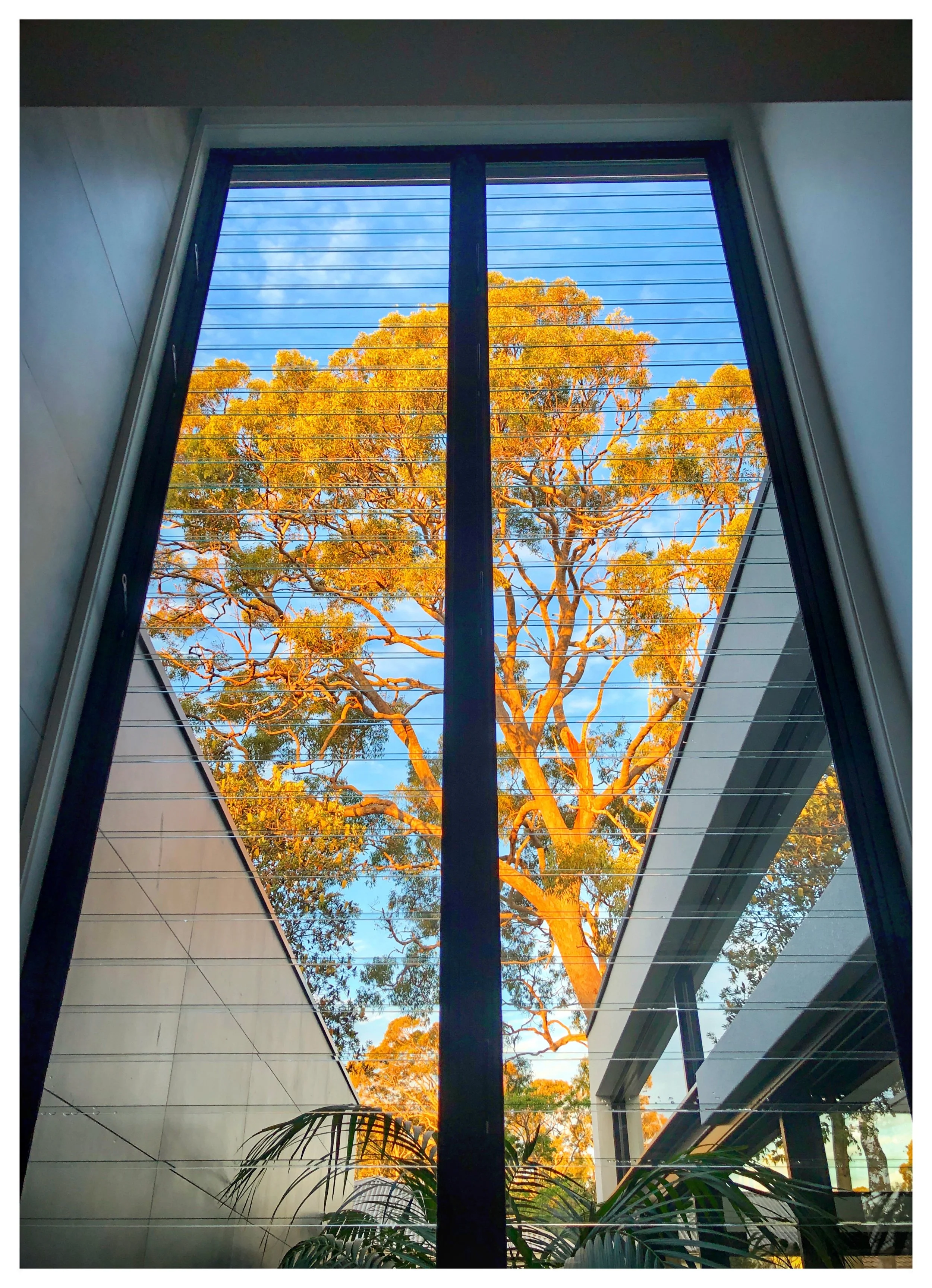 Window Cleaning Sutherland Shire Residential.jpg