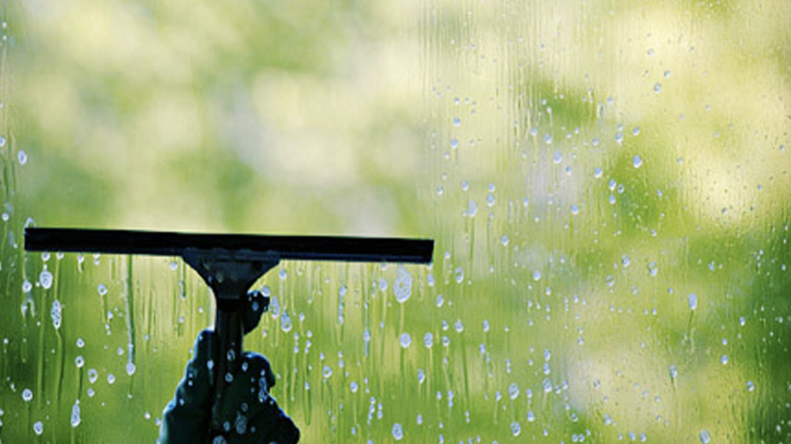Spring Window Cleaning.png