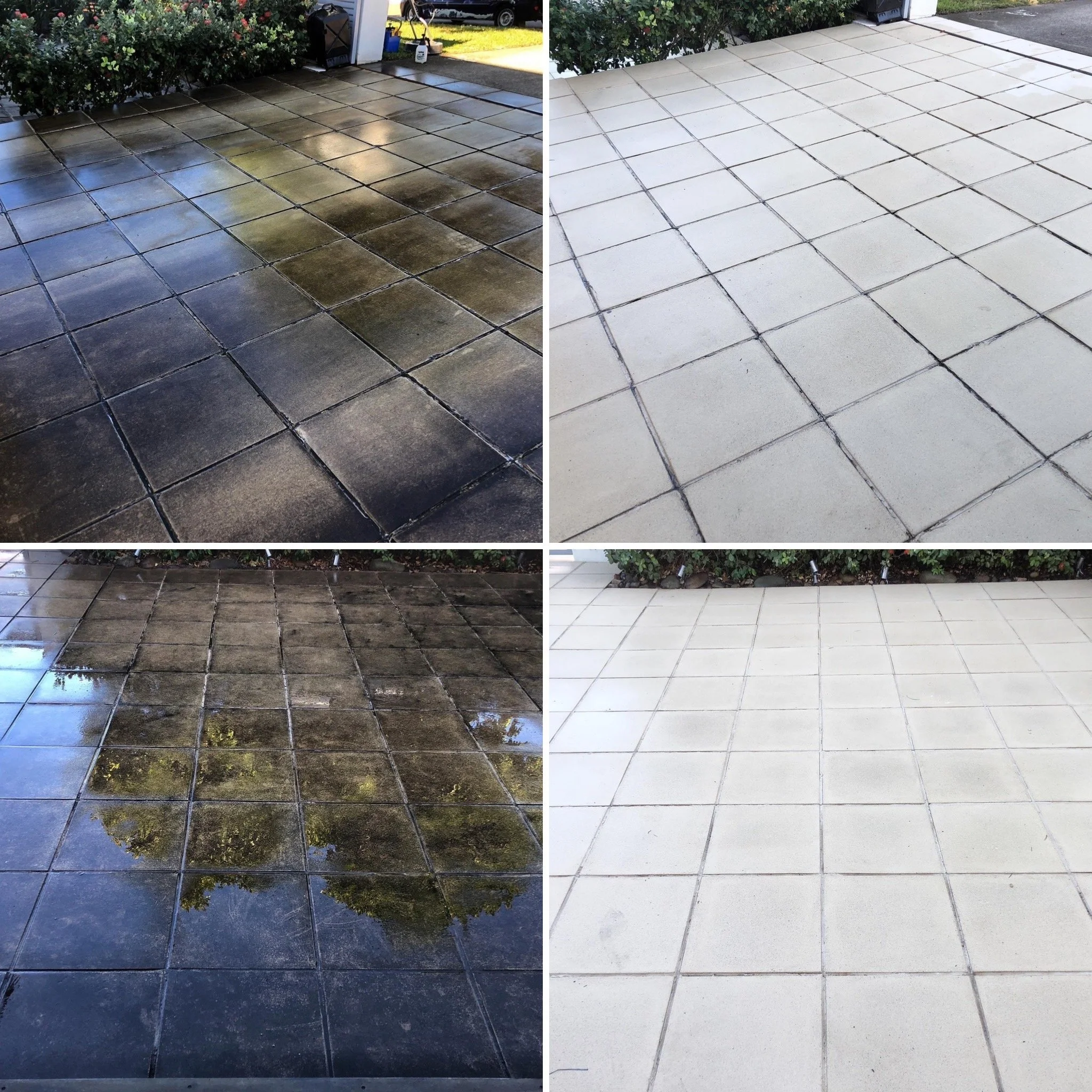 Why Autumn Is the Best Time for Pressure Cleaning in Sydney