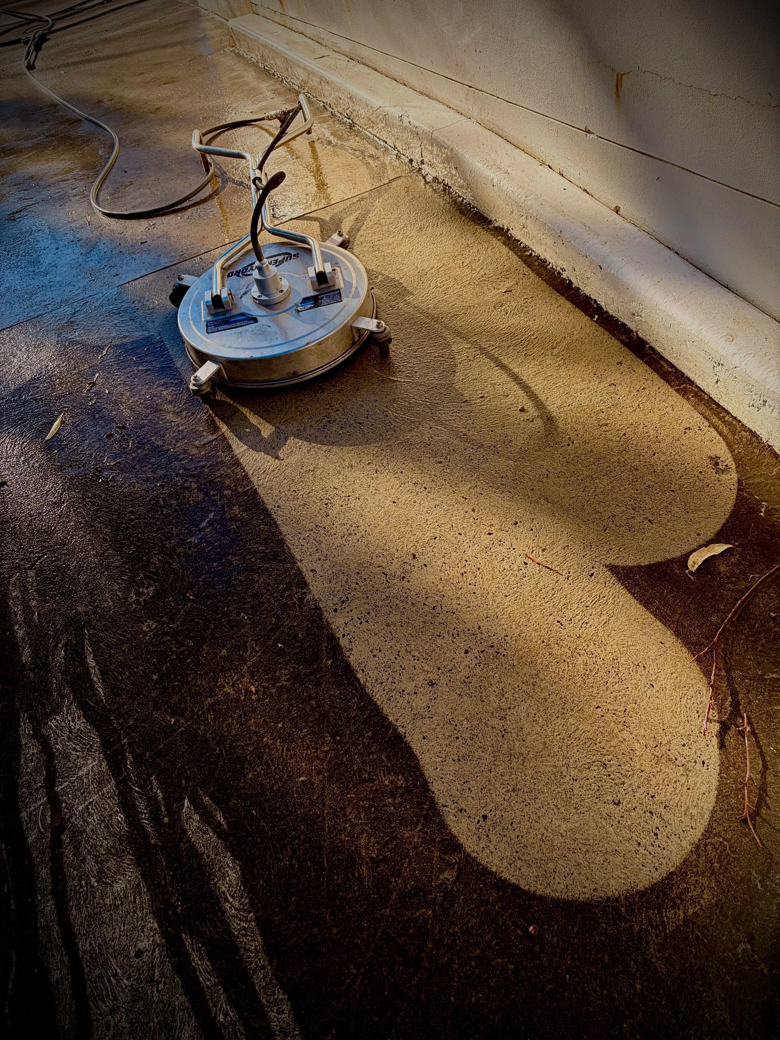      

 
   How often should you Pressure Clean In the Sutherland shire 
 




















  
  



    

 
   You should pressure wash your Sutherland Shire home once every 12 months to effectively protect it from salt air, coastal humidity, and