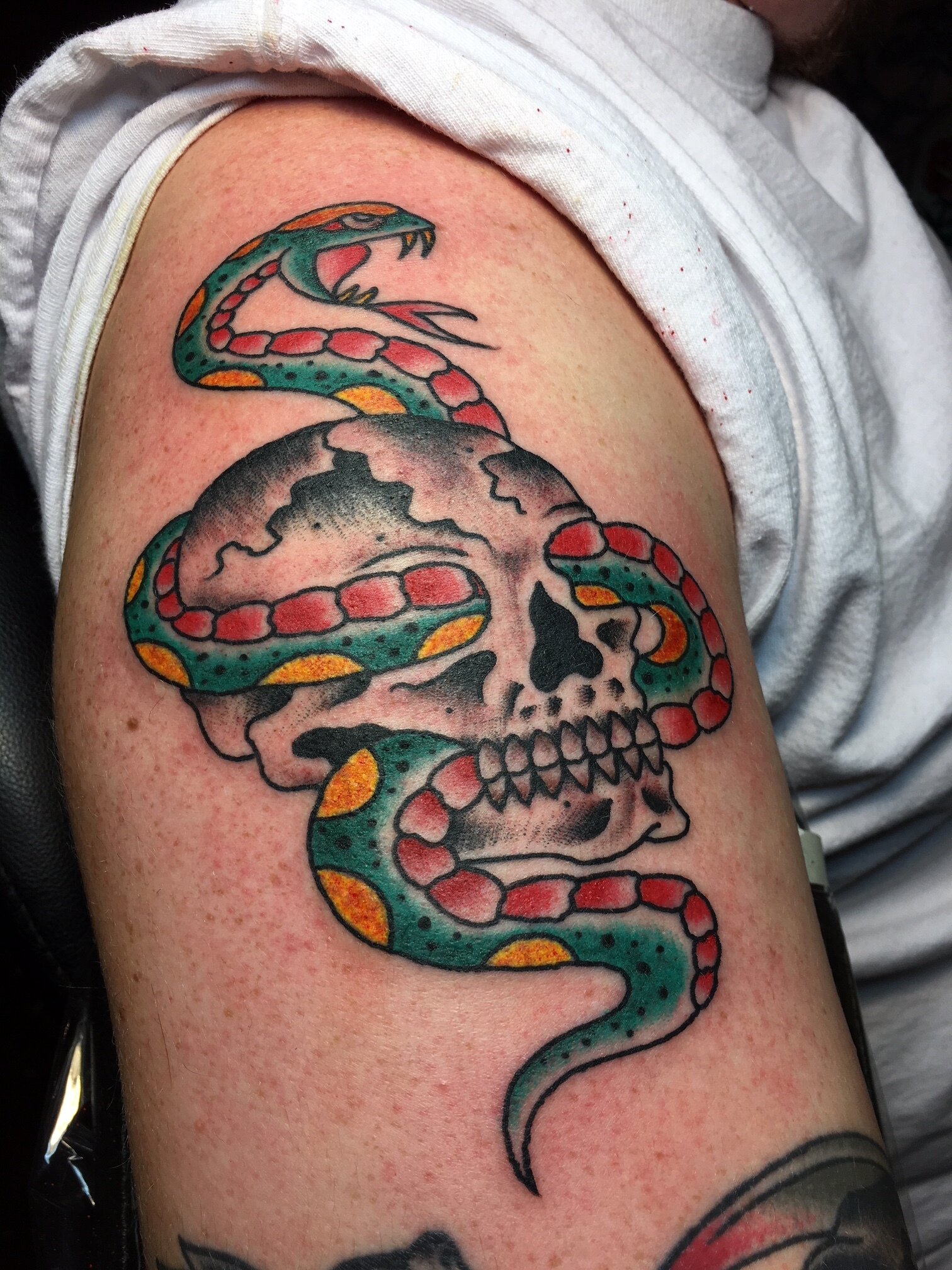 Traditional snake wrapping through skull tattoo in color by Brian Gattis at Southern Star Tattoo in Atlanta, Georgia