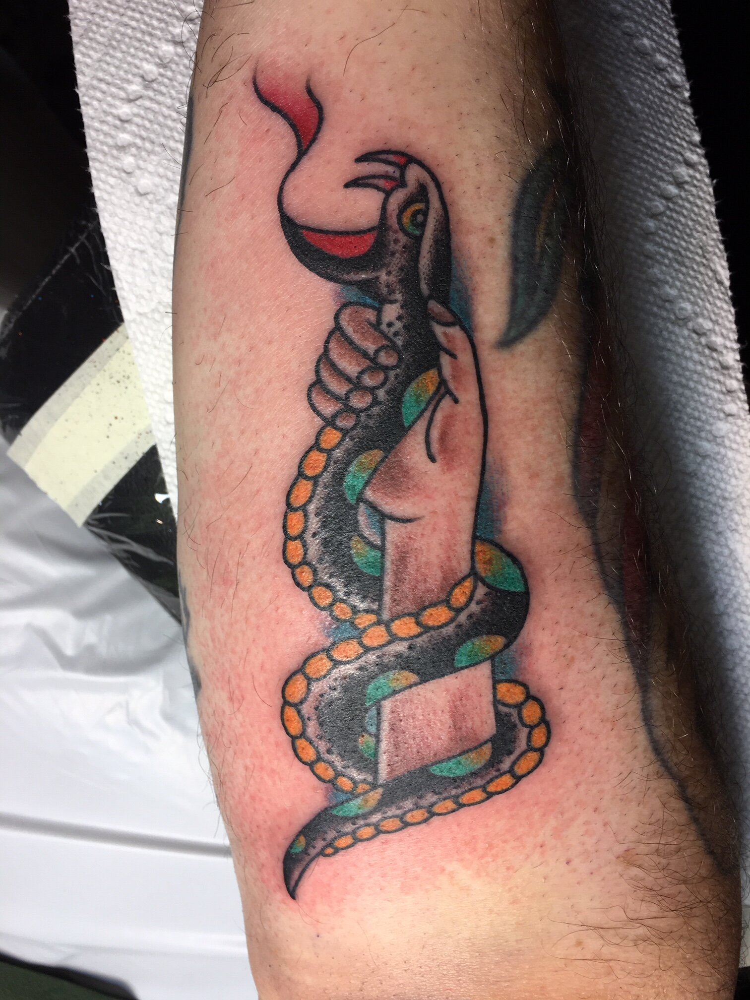 Snake being held in hand tattoo by Brian Gattis at Southern Star Tattoo in Atlanta, Georgia