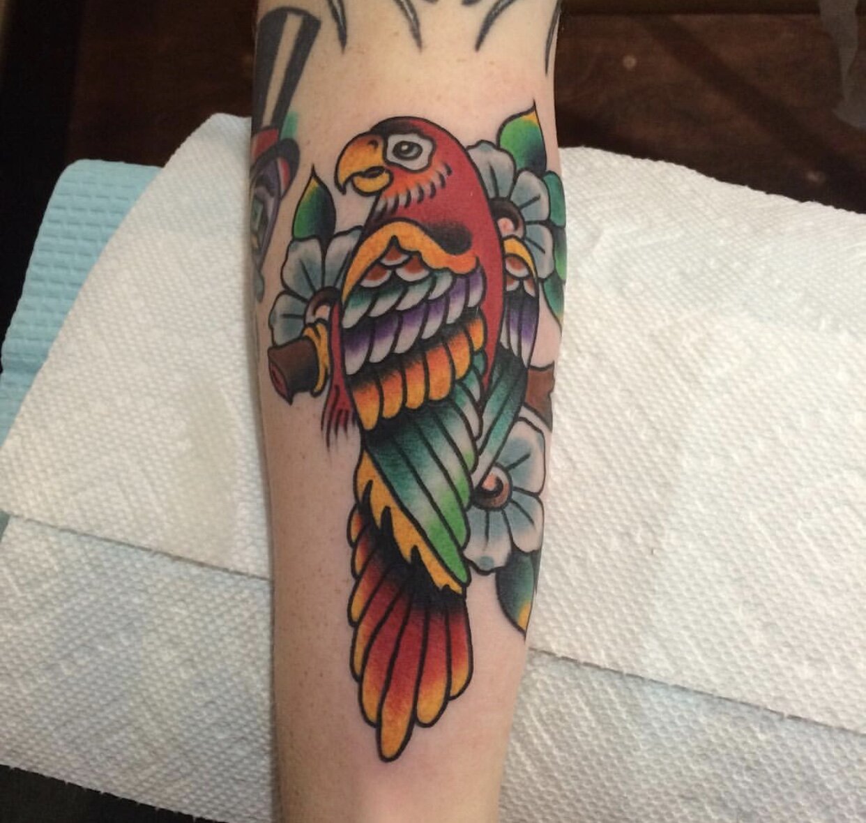 Traditional parrot tattoo in bright color by Andrew Patch at Southern Star Tattoo in Atlanta, Georgia.