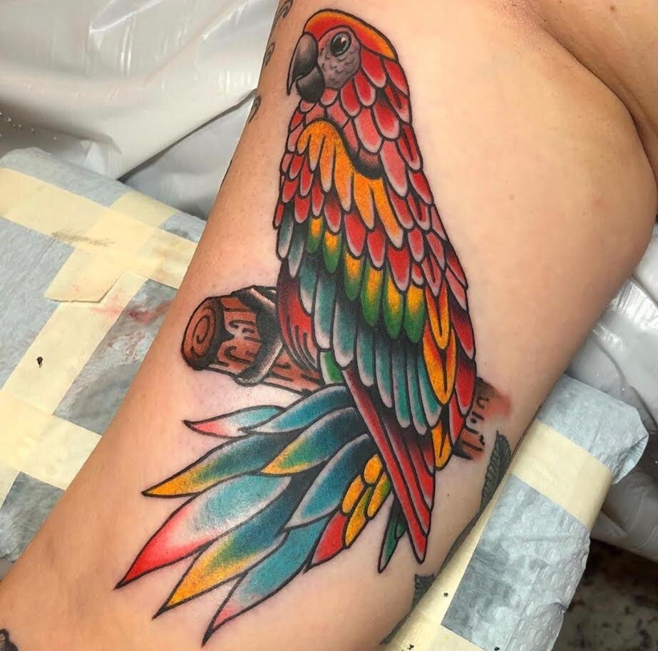 Traditional parrot tattoo in bold color by Andrew Patch at Southern Star Tattoo in Atlanta, Georgia.