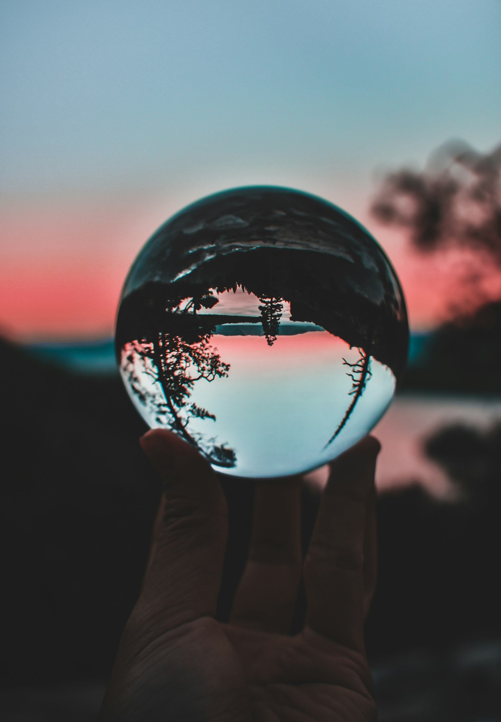 Reflections and Intentions 2025