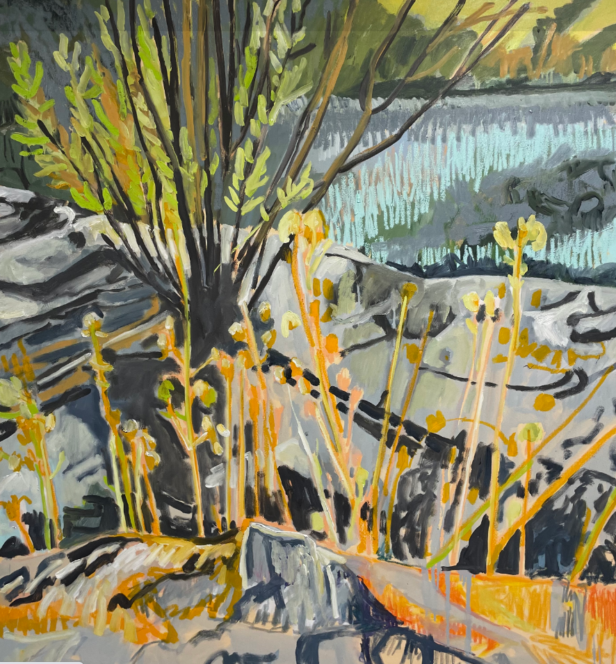 Paddington Art Prize 2022