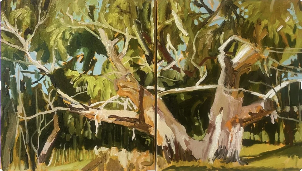 Image 30-4-2024 at 9.35 am.jpg