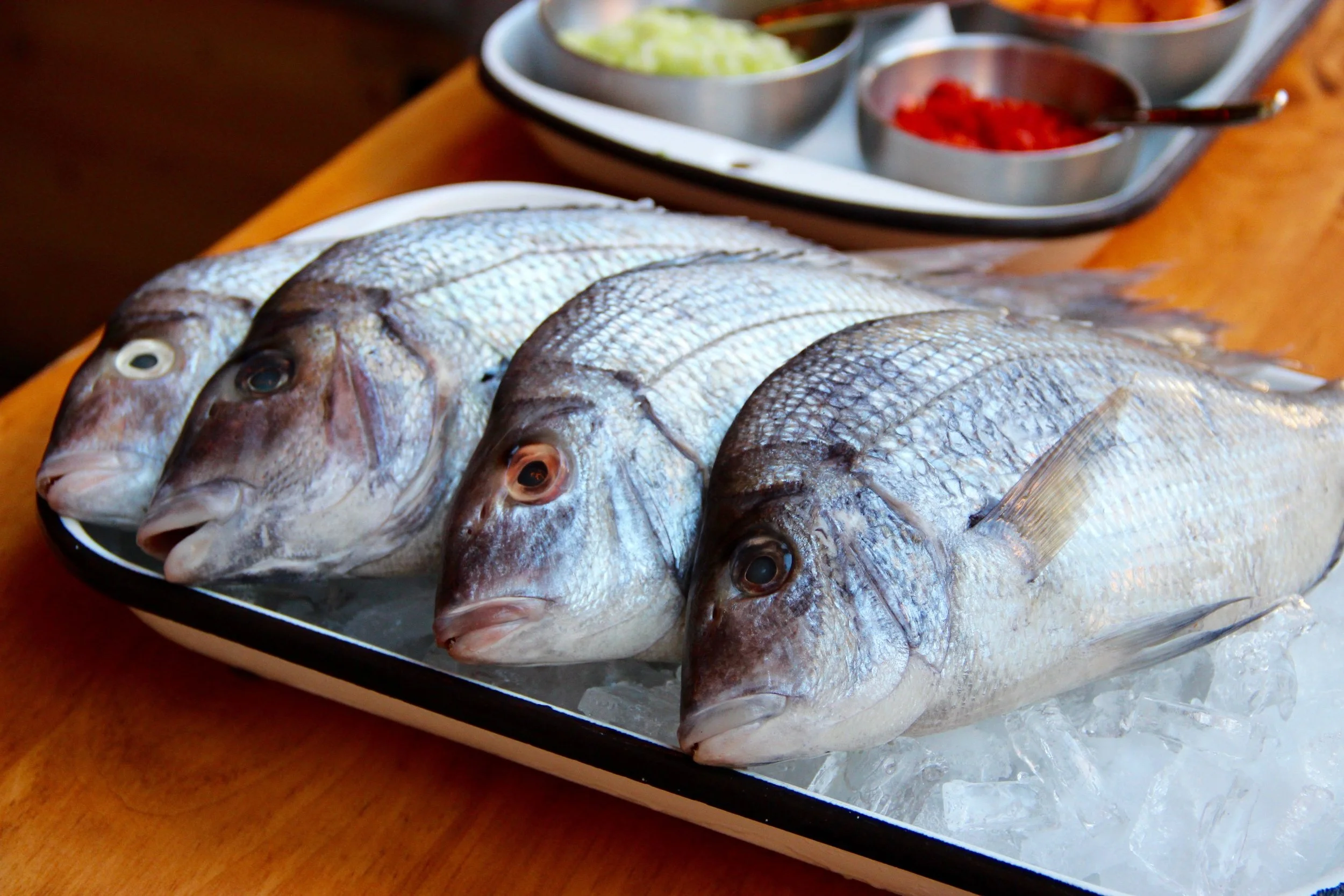 Gallery — Casa Zoraya