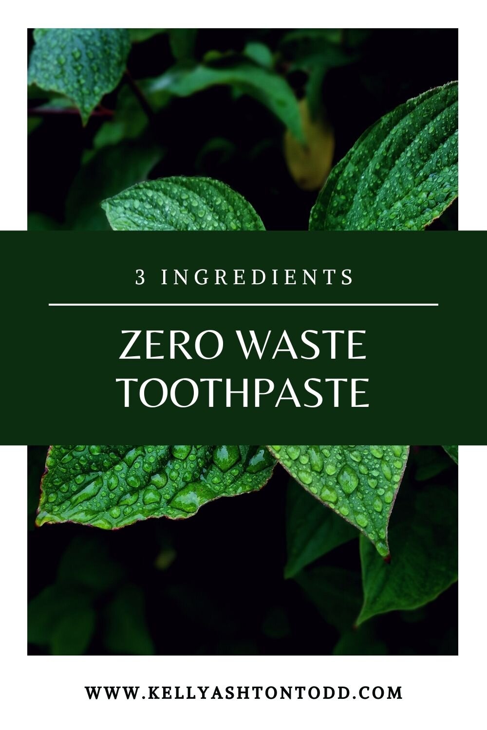 Zero Waste Toothpaste.jpg