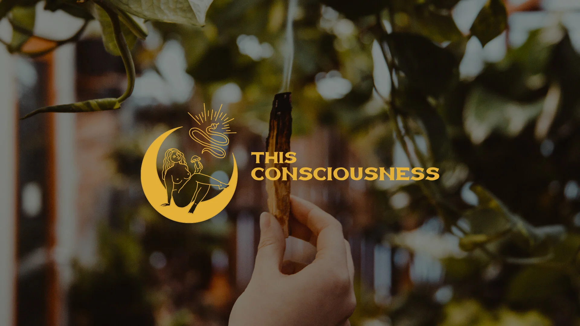 Crafting an identity for a hands-on energy healer.