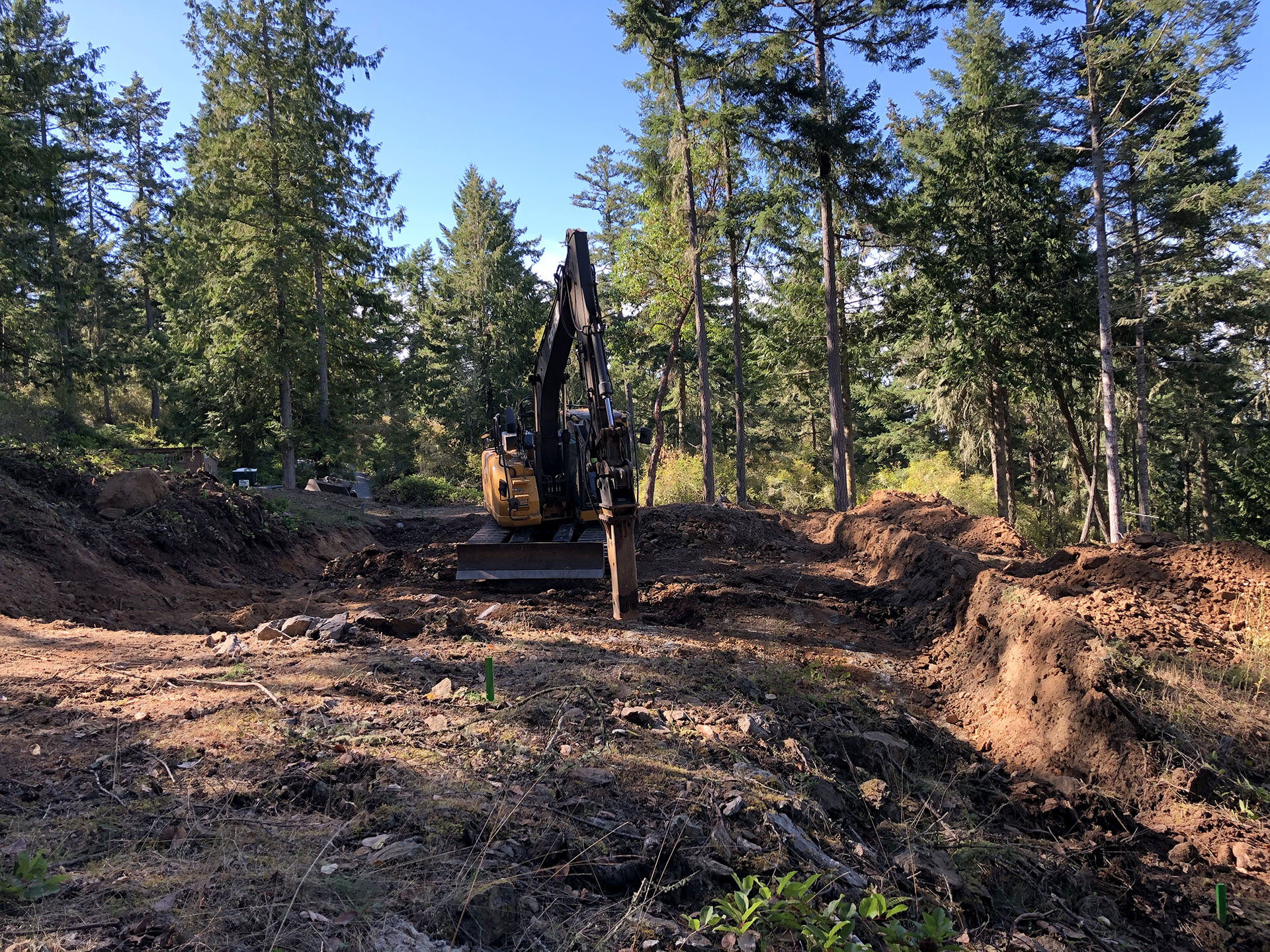 Twin-Cedars_Excavation.jpg