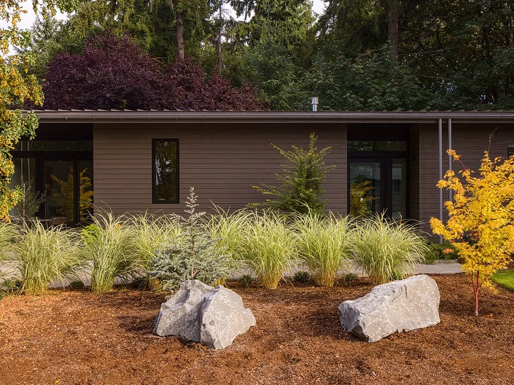 Remodel - West Elevation