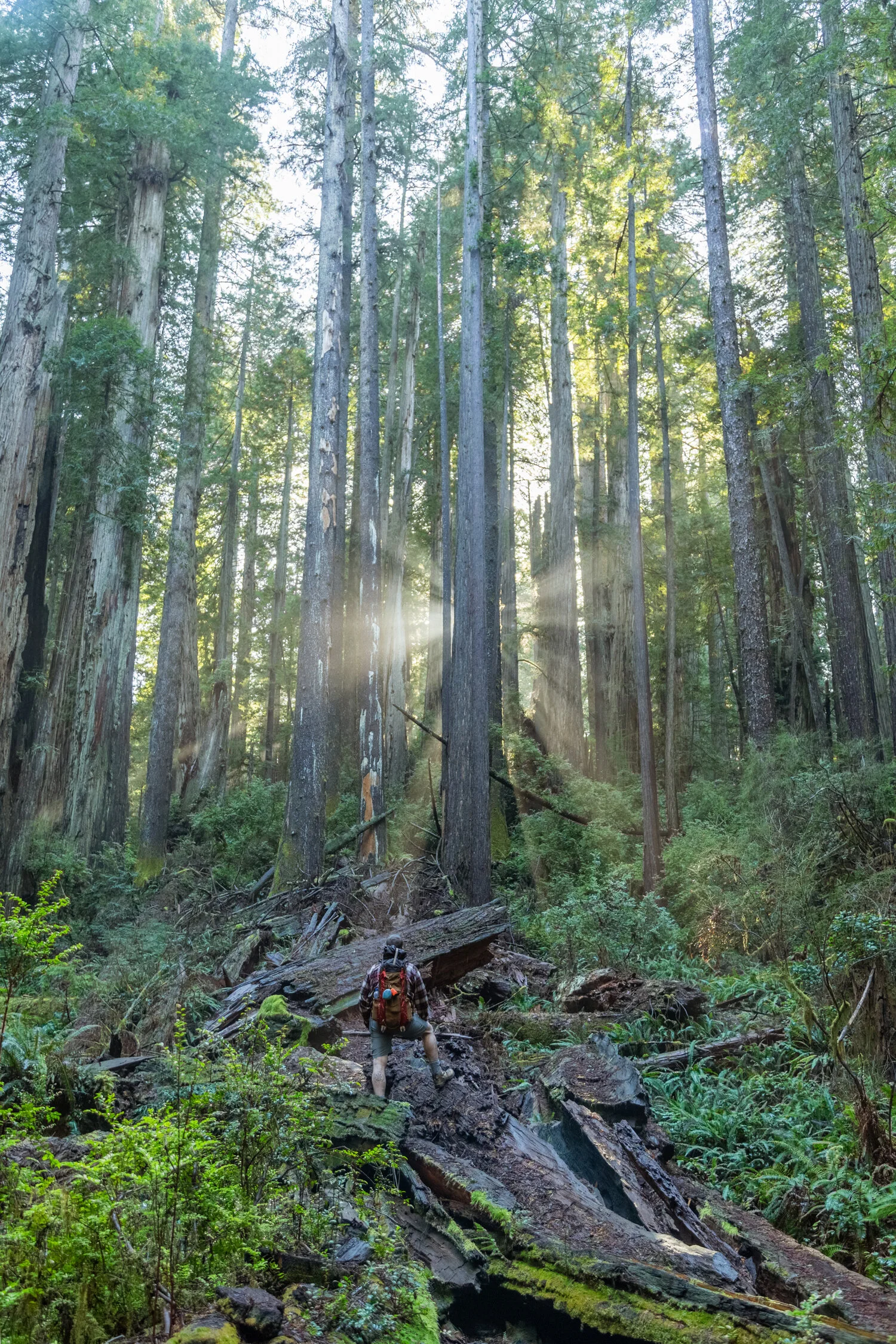 PNW_45.jpg