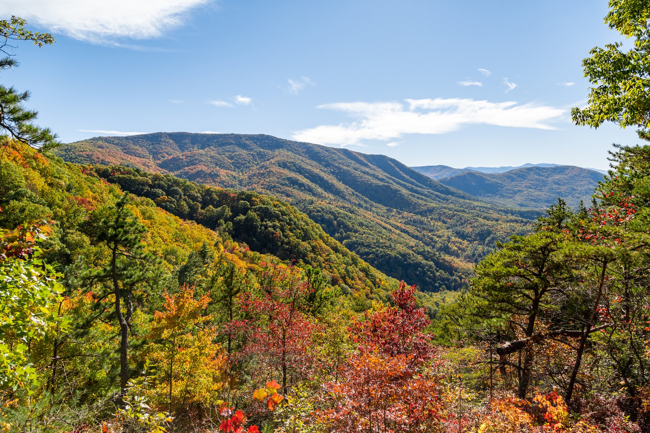 REI_Takes_Tennessee61_resize.jpg