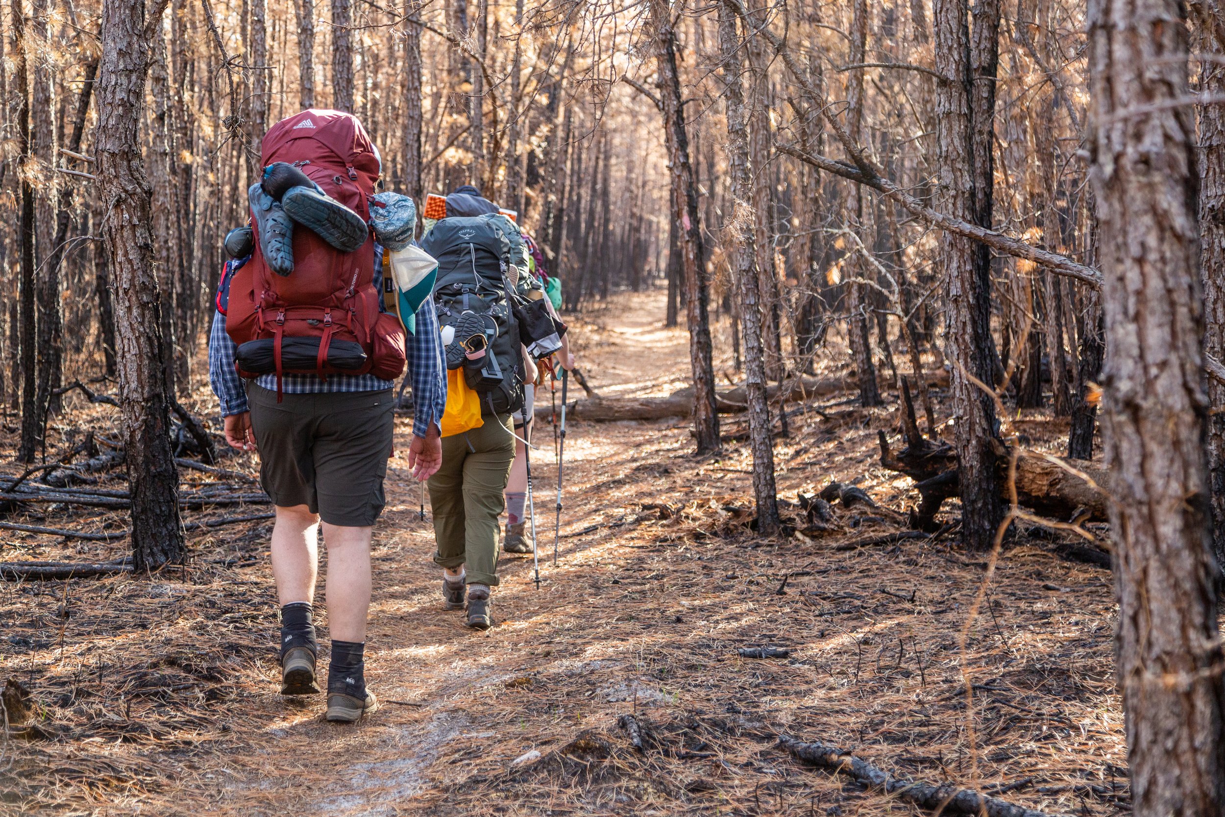 BaToNa_Trail_03.jpg