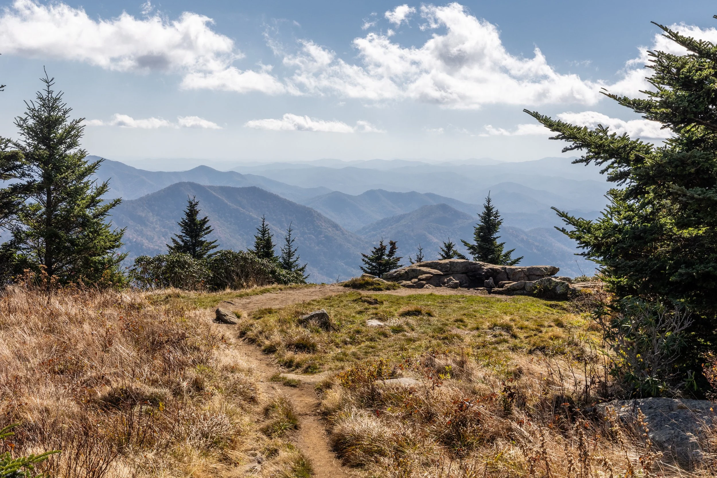 Roan_Mtn_AT_04.jpg