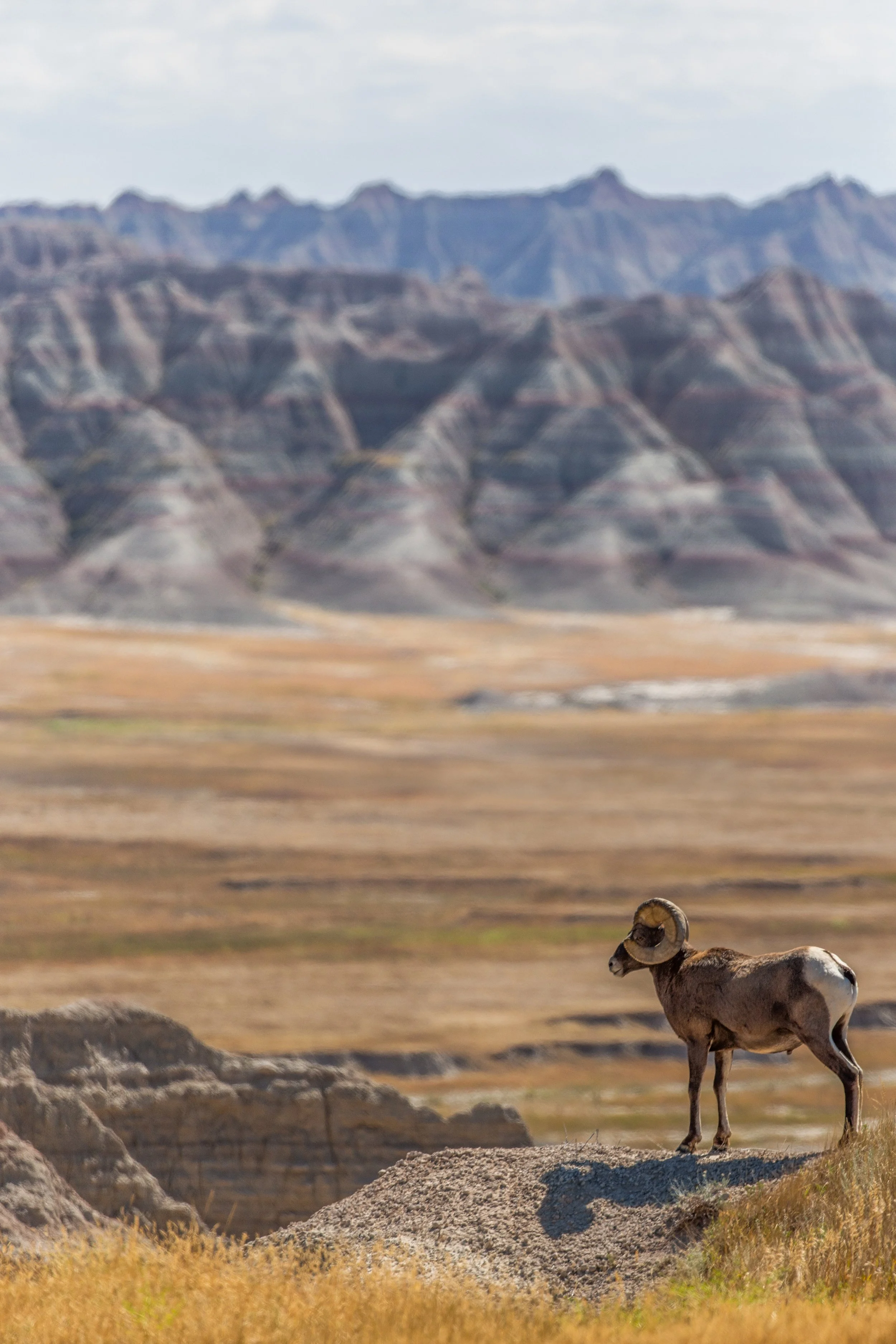 Badlands