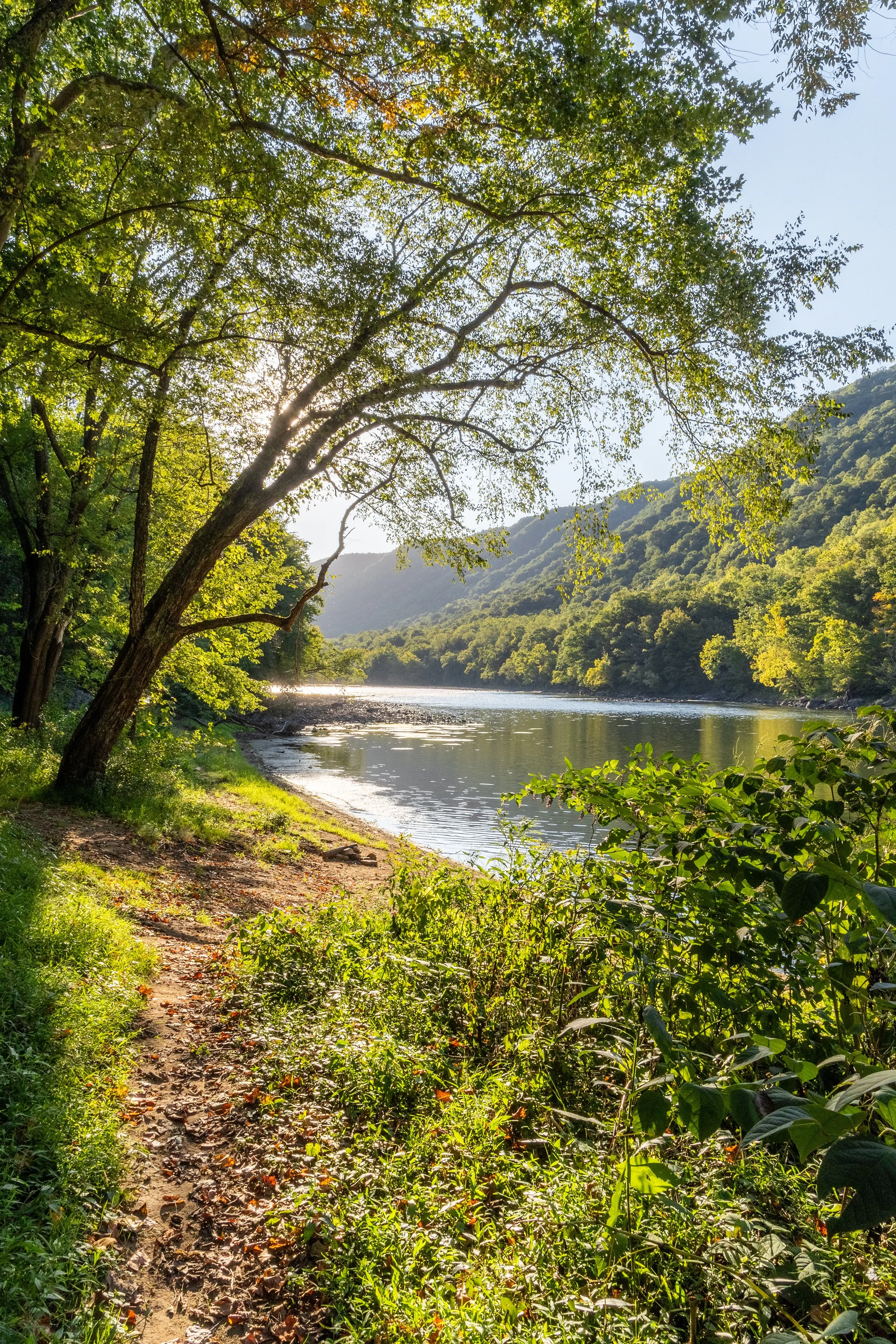 New River Gorge