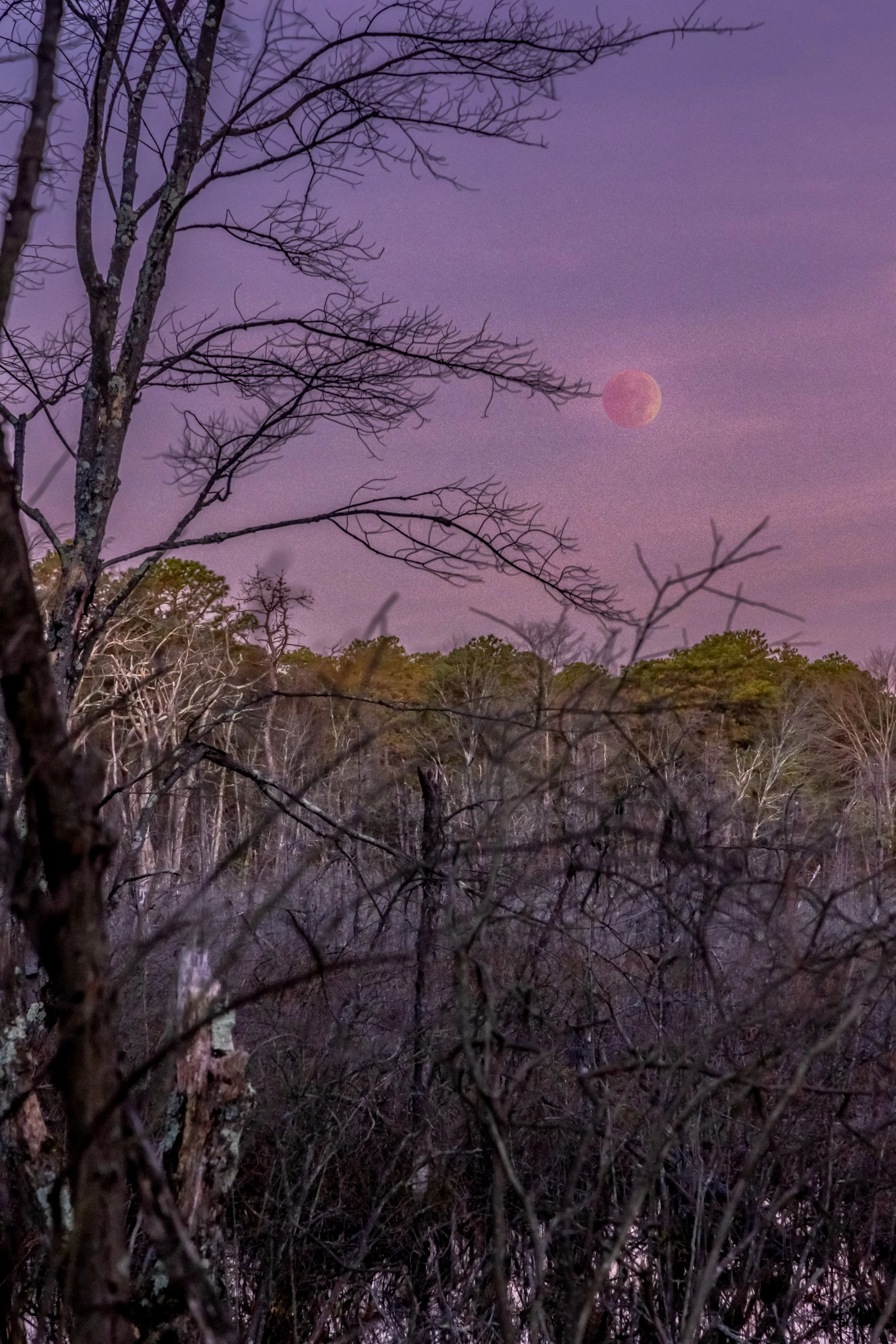 Blood_Moon_2022-06.jpg