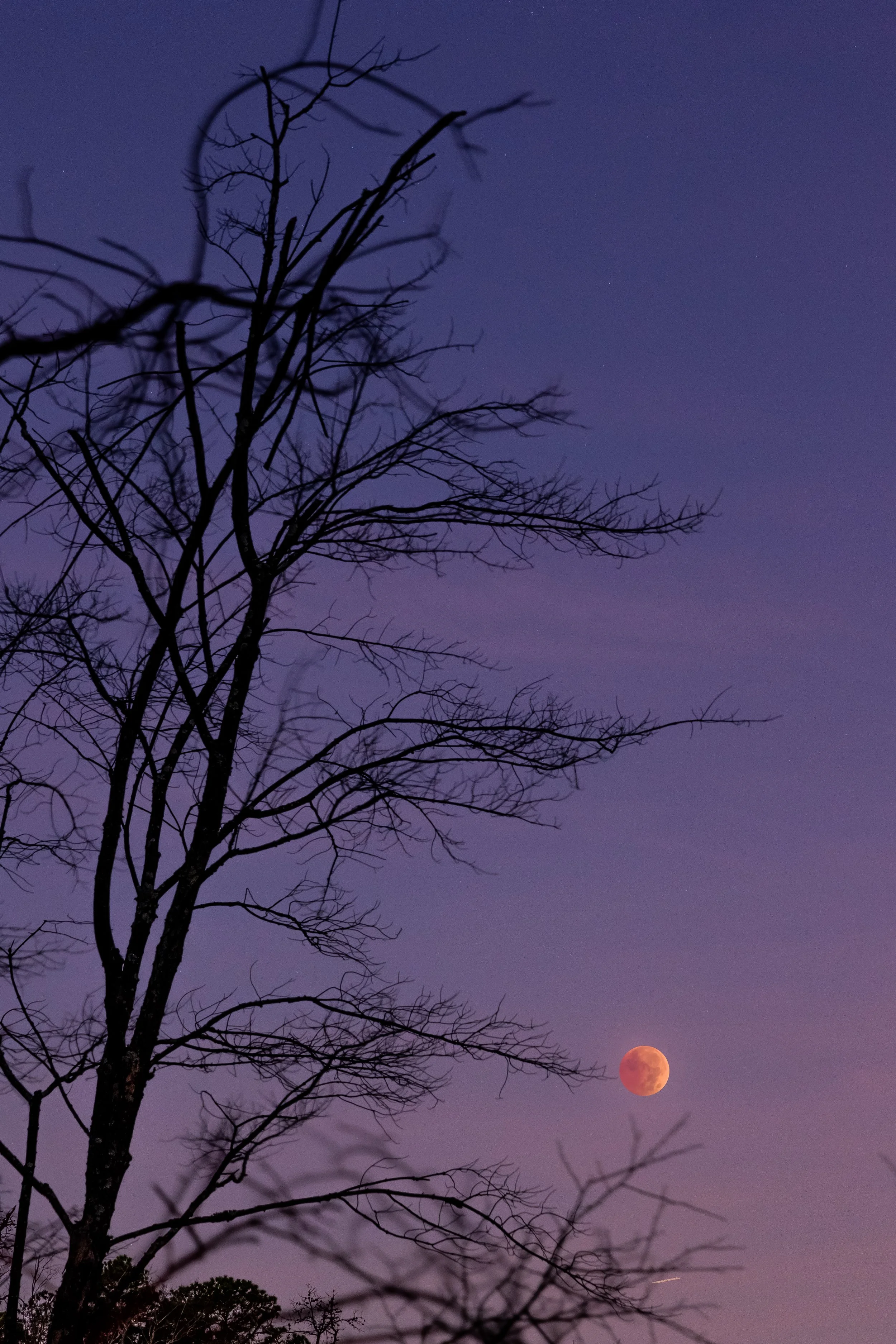 Blood_Moon_2022-05.jpg