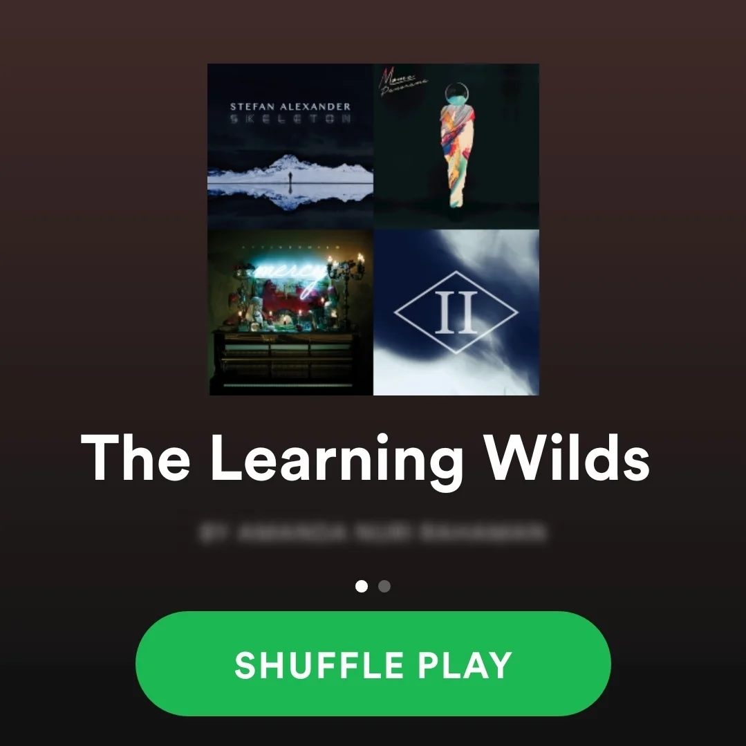 spotify playlist.jpg