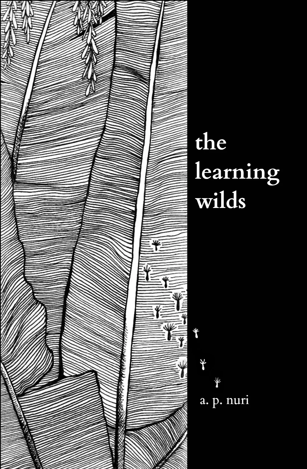 Read the blog for exclusive excerpts or get a sneak peek at the first chapter.