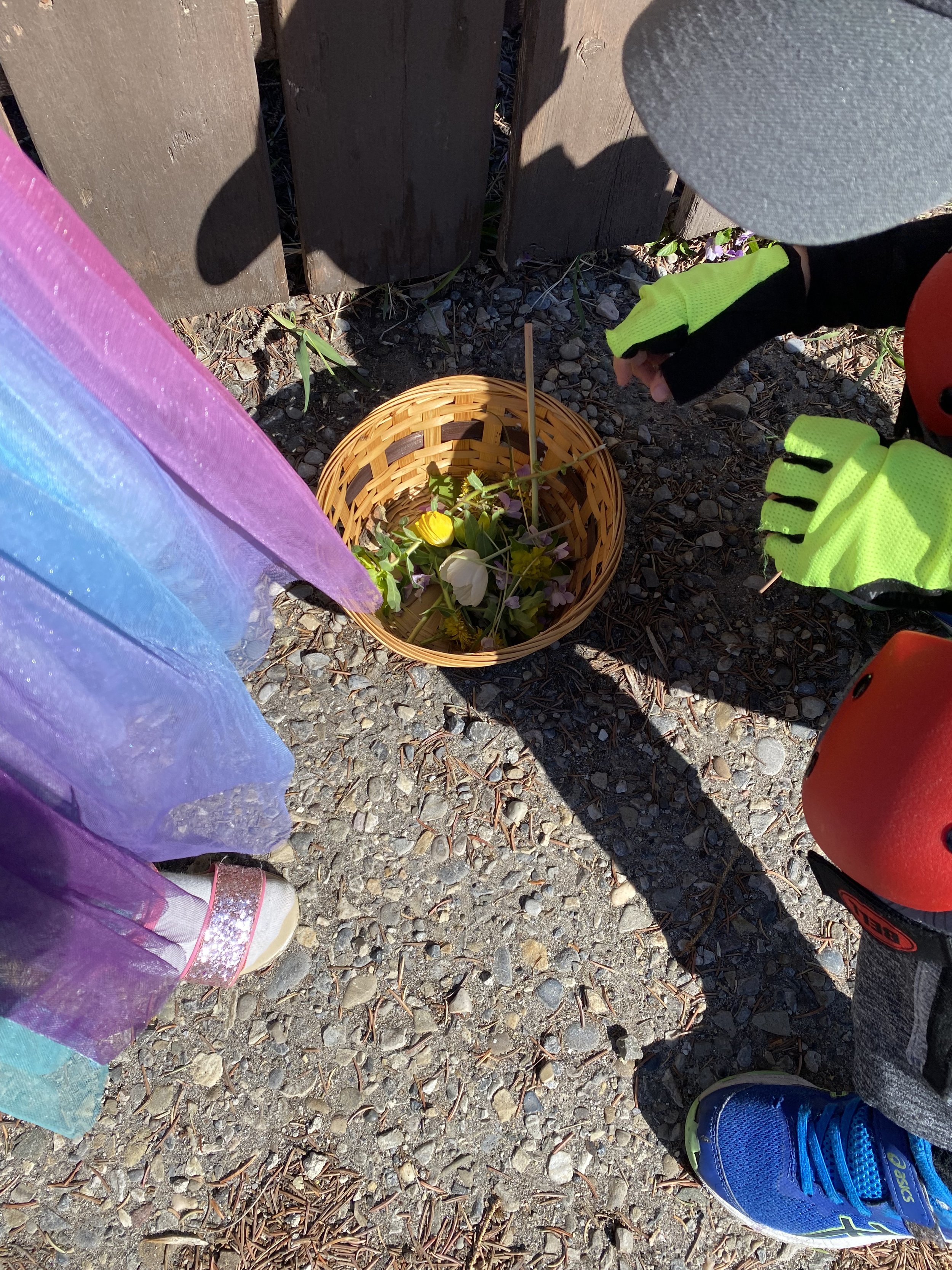 IMG_3278.jpeg