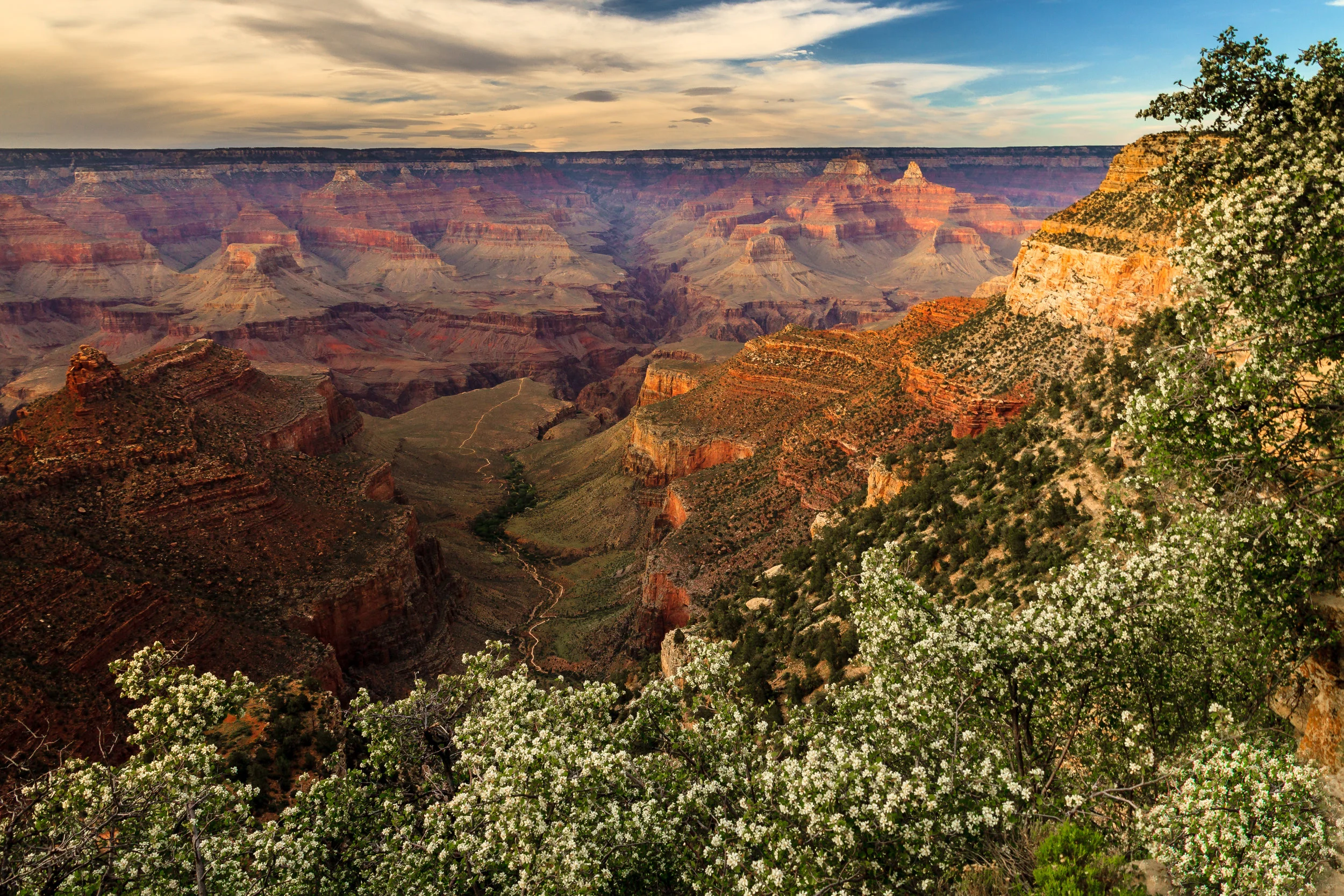 inner canyon_Larry Simkins_sm.jpeg