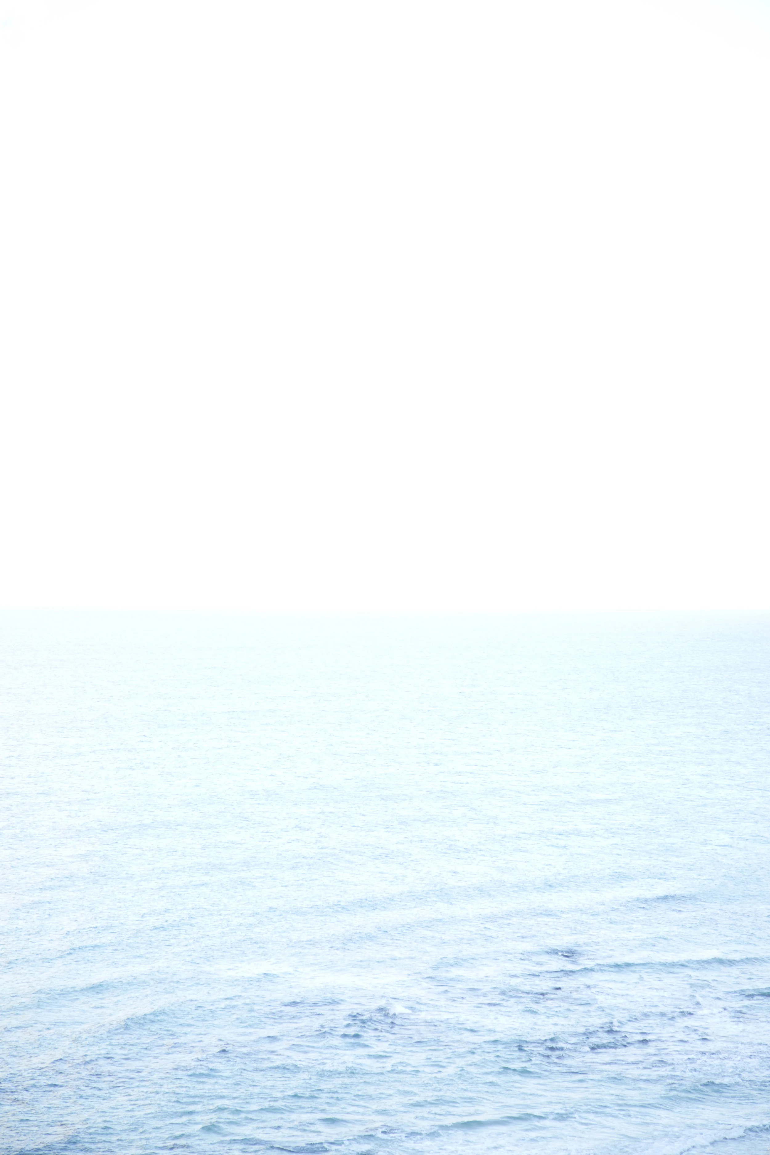 9V9A9126.jpg