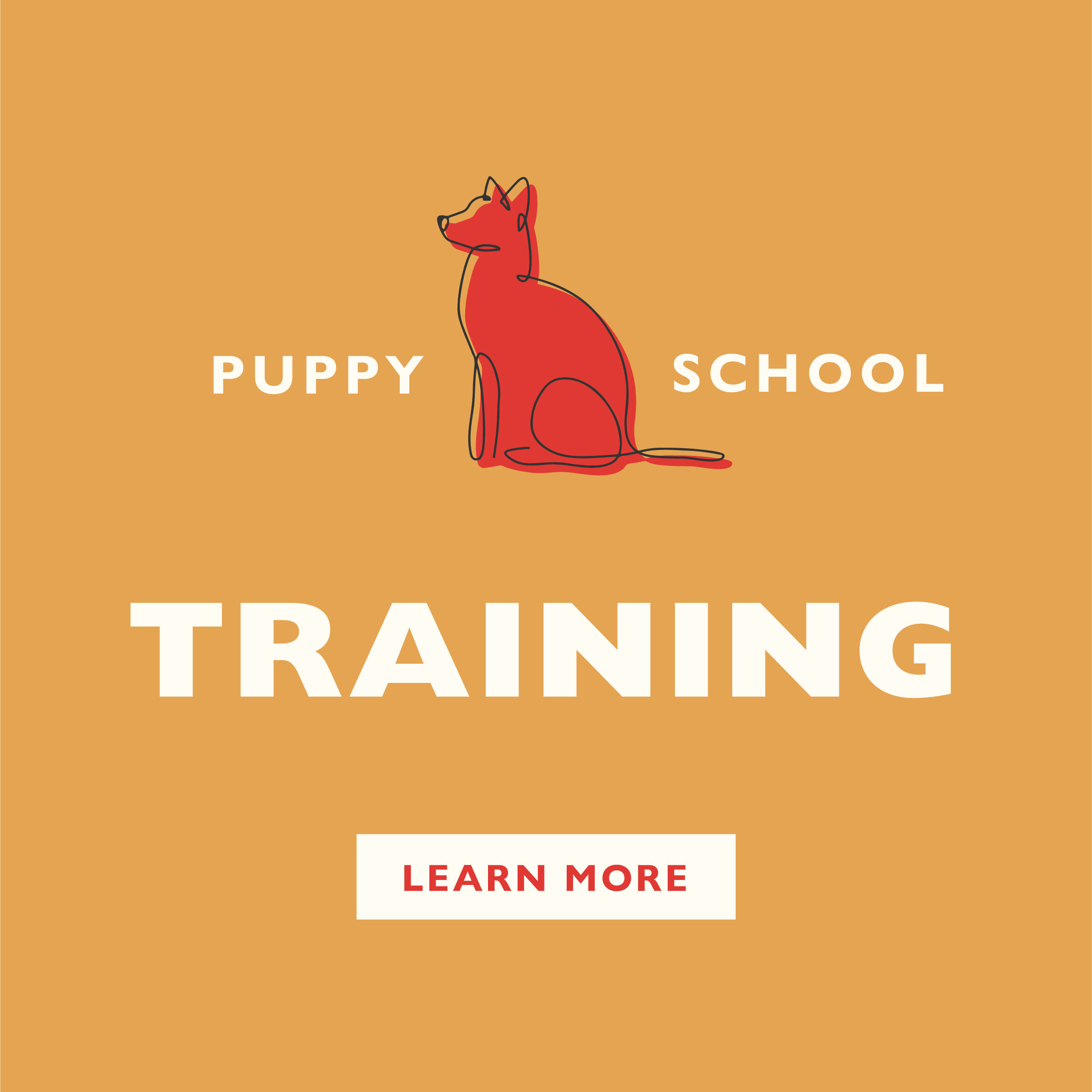 Puppy School &amp; Training