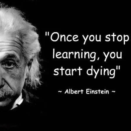 EinsteinLearning.jpg