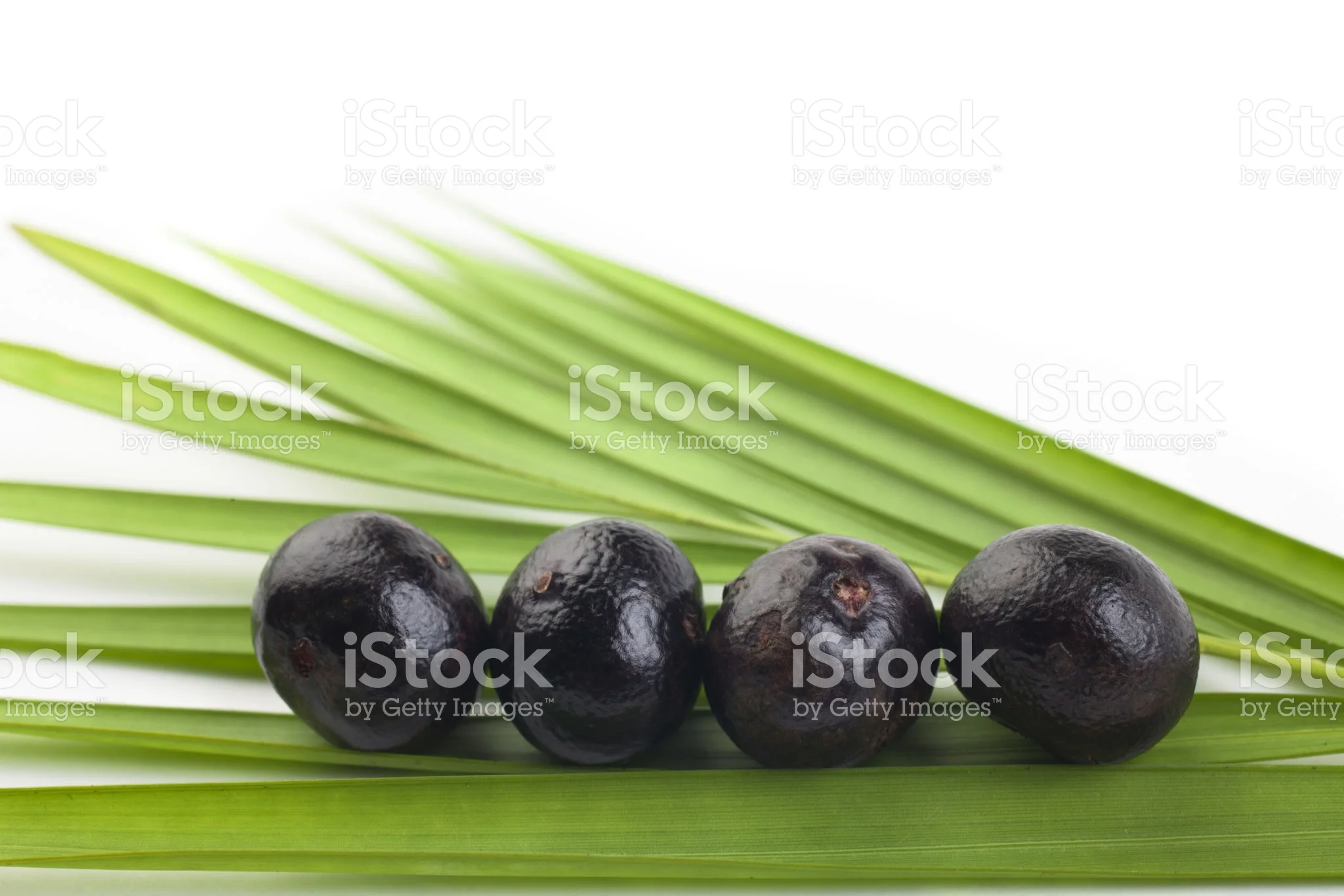170034411.jpg