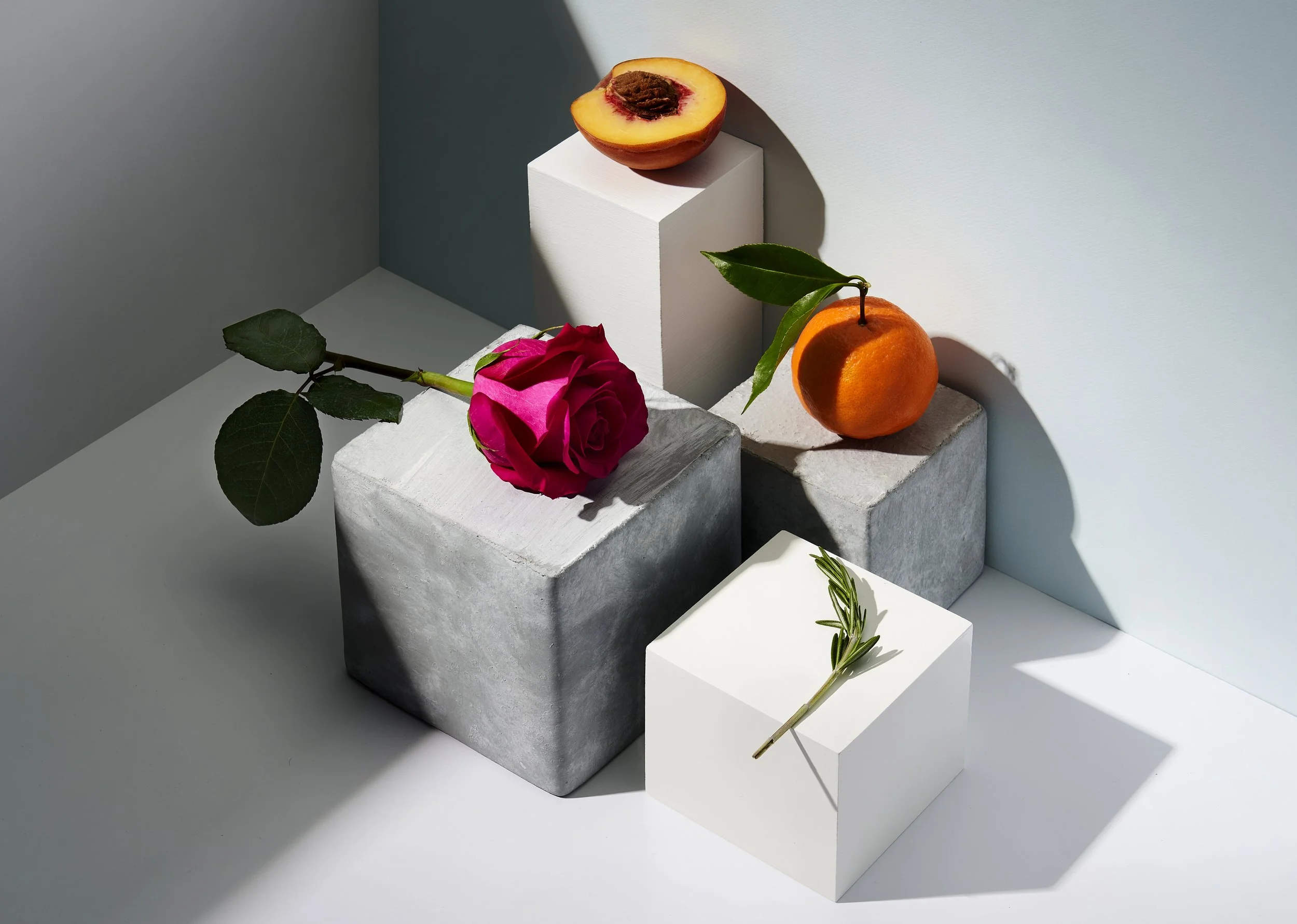 Dynamic_Renewal_Cream_Ingredient_031_STACKED copy.jpg